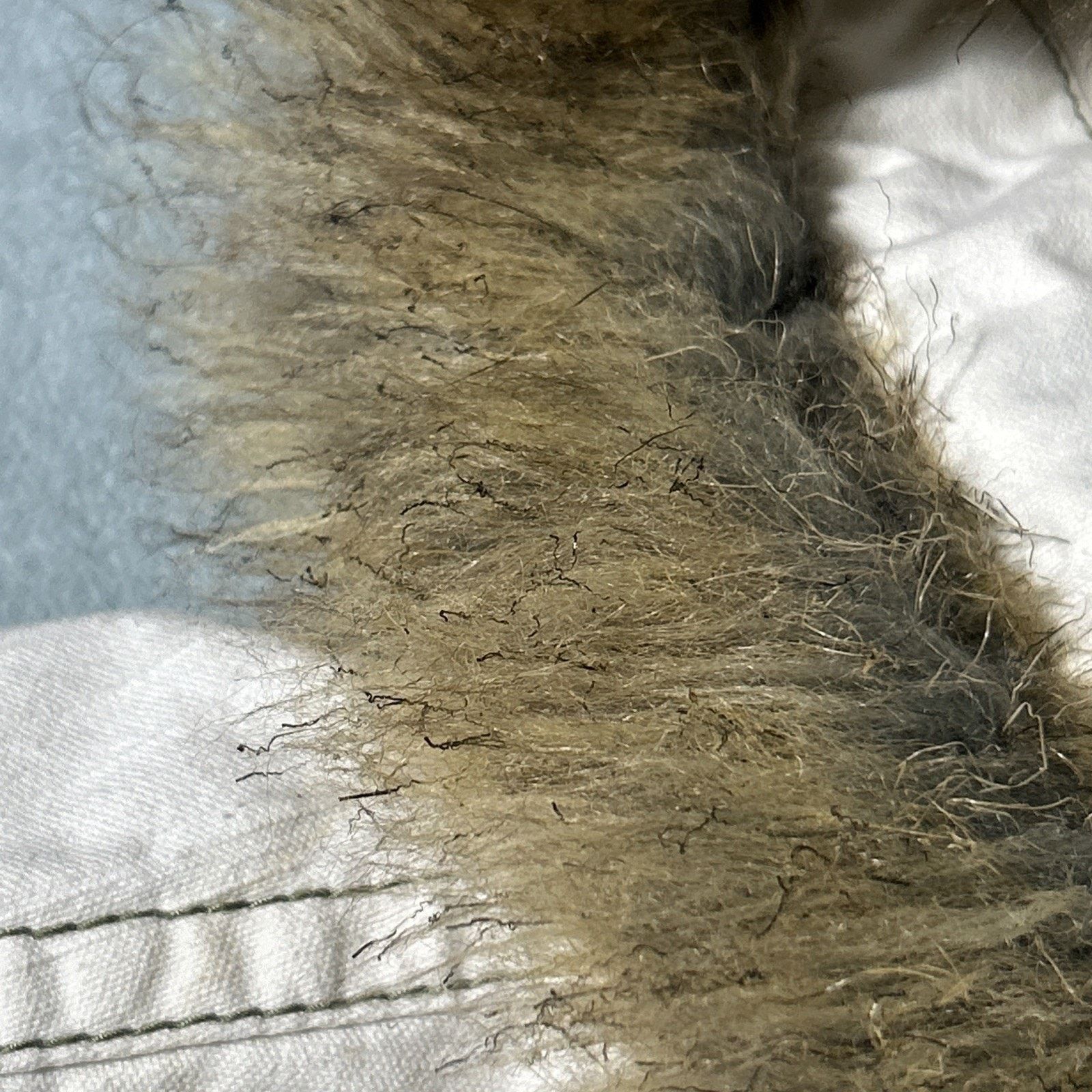 Fox Racing Fox Racing Fur Hood Jacket Ws Medium Zip Hoodie Stitch Size M / US 6-8 / IT 42-44 - 15 Thumbnail