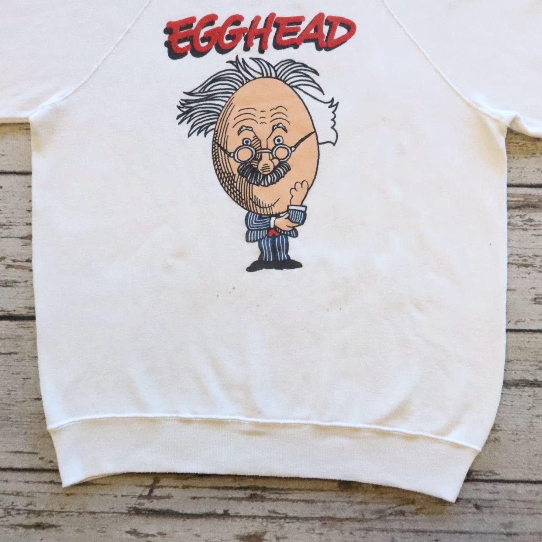 Vintage VINTAGE Albert Einstein Egghead Software Sweatshirt Men XL White Pullover 80s String? Size US XL / EU 56 / 4 - 3 Thumbnail