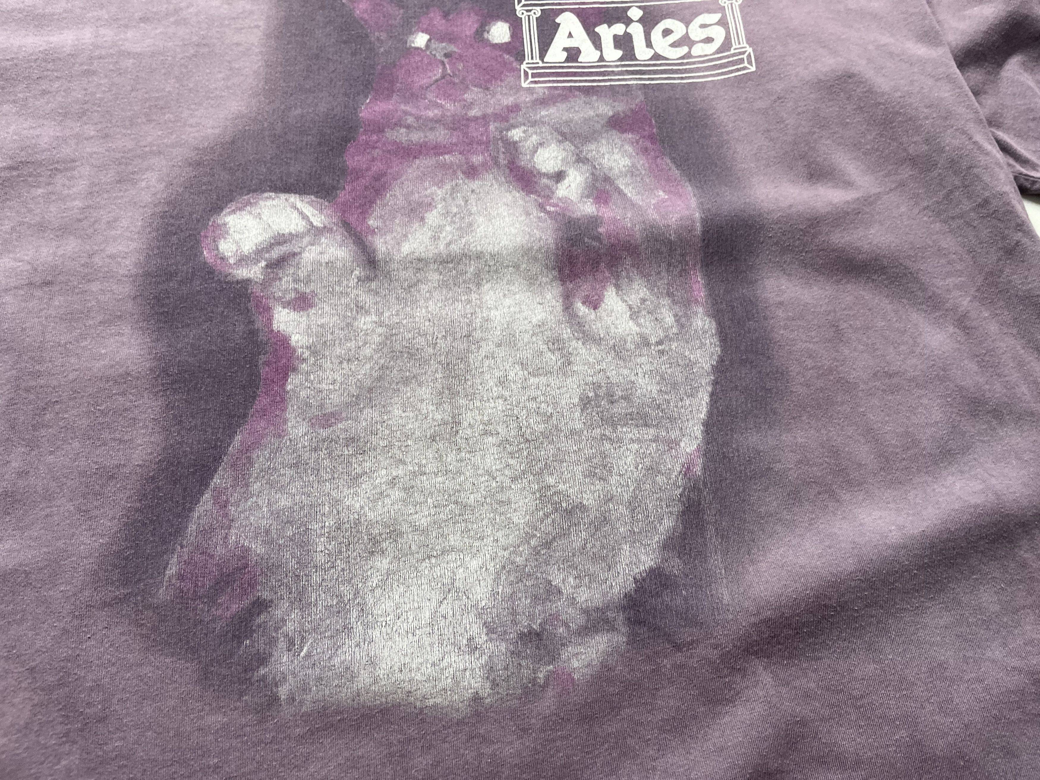 Aries Aries T-shirt Size US L / EU 52-54 / 3 - 5 Thumbnail