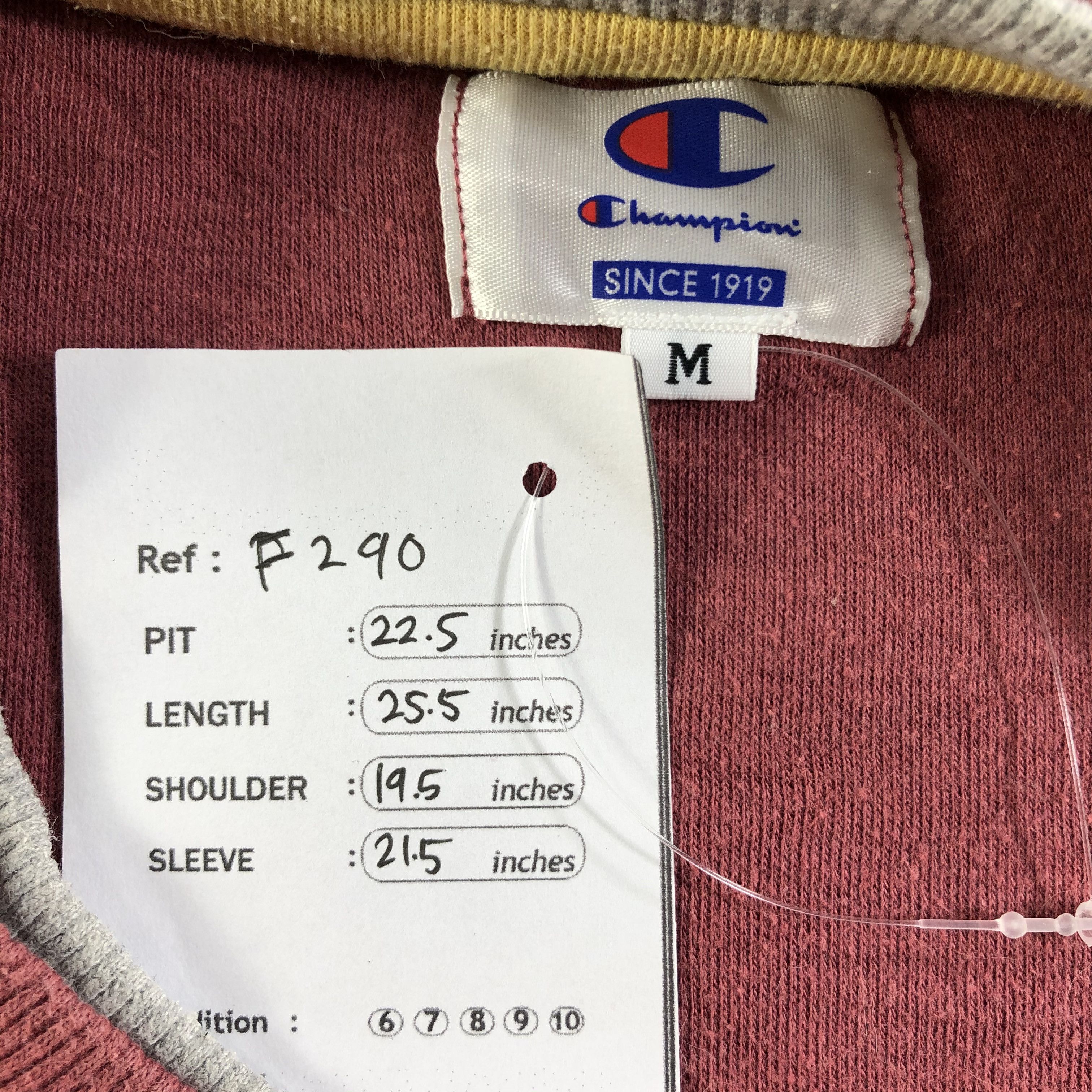 Champion Rochester NY Champion Crewneck Sweatshirt F290 Size US M / EU 48-50 / 2 - 8 Thumbnail