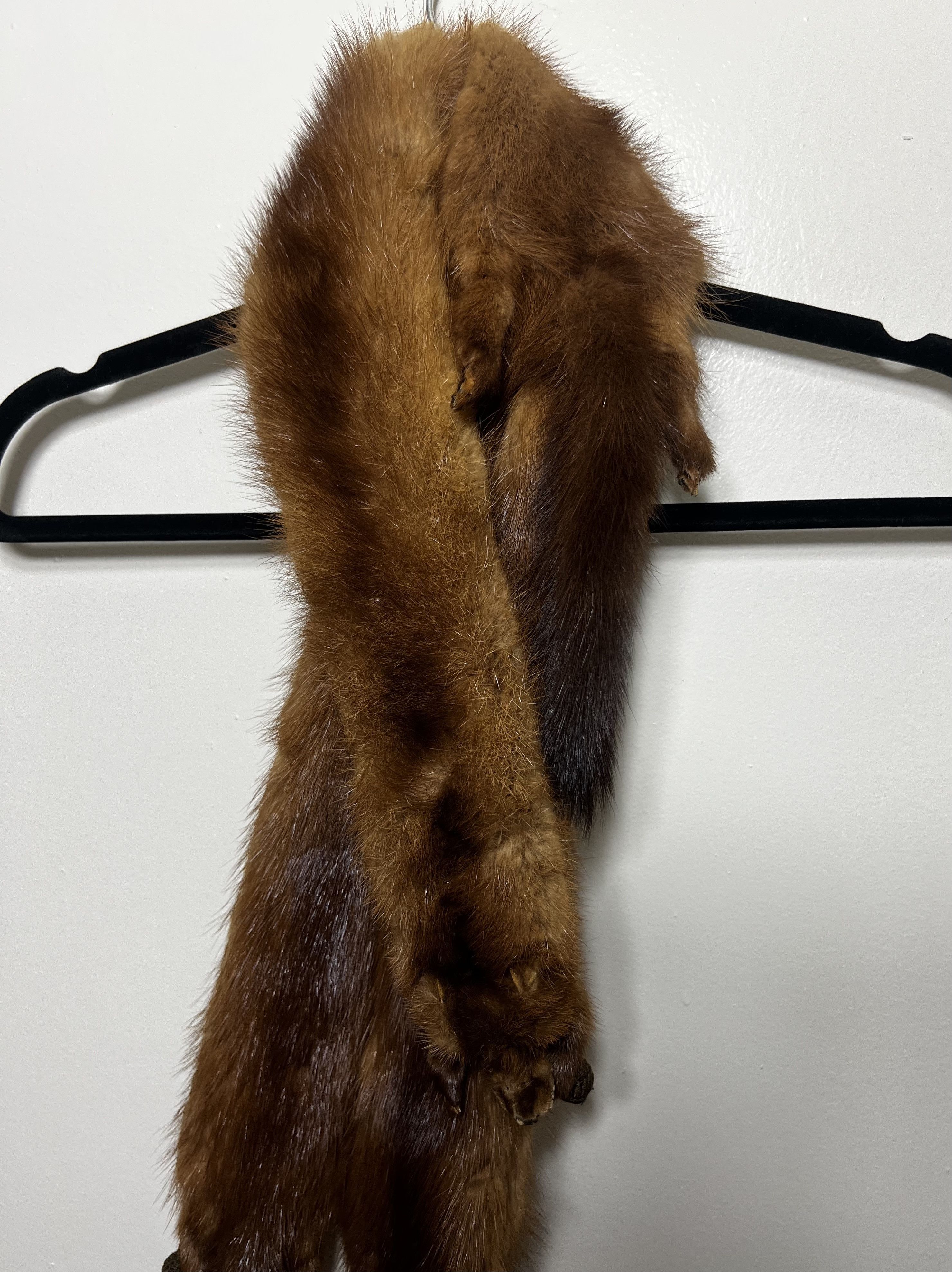 Other × Vintage Vintage 40's-50's Fur Taxidermy Pelt Collar - Mink Stole Size ONE SIZE - 5 Thumbnail