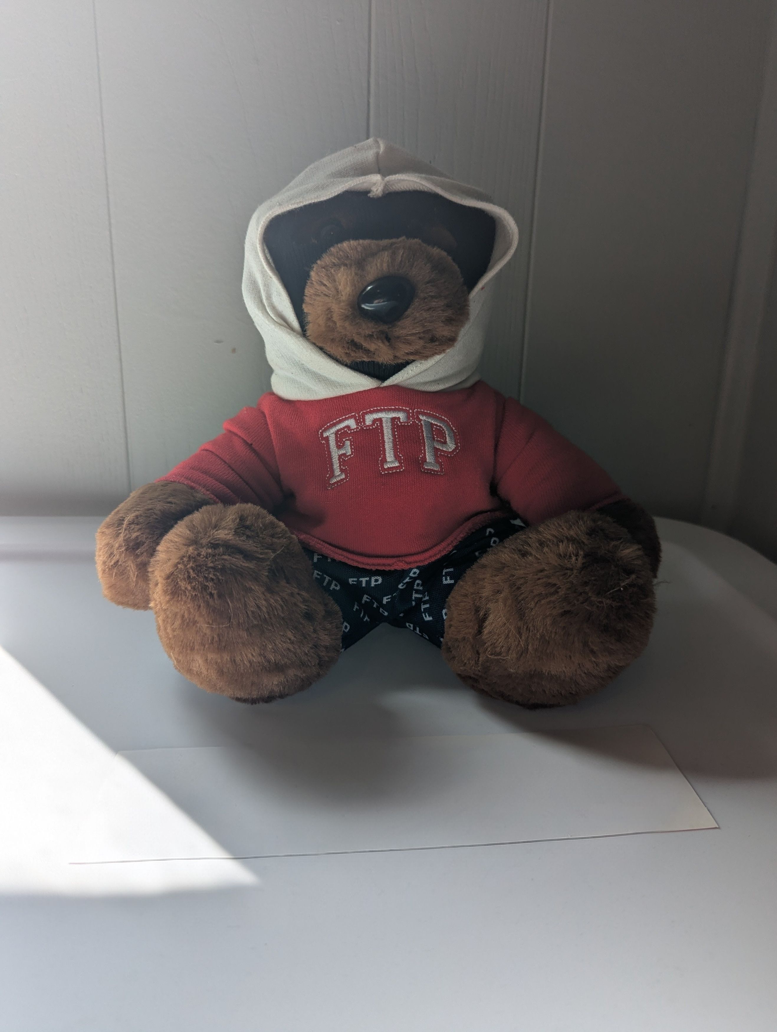 Ftp Bear | Grailed