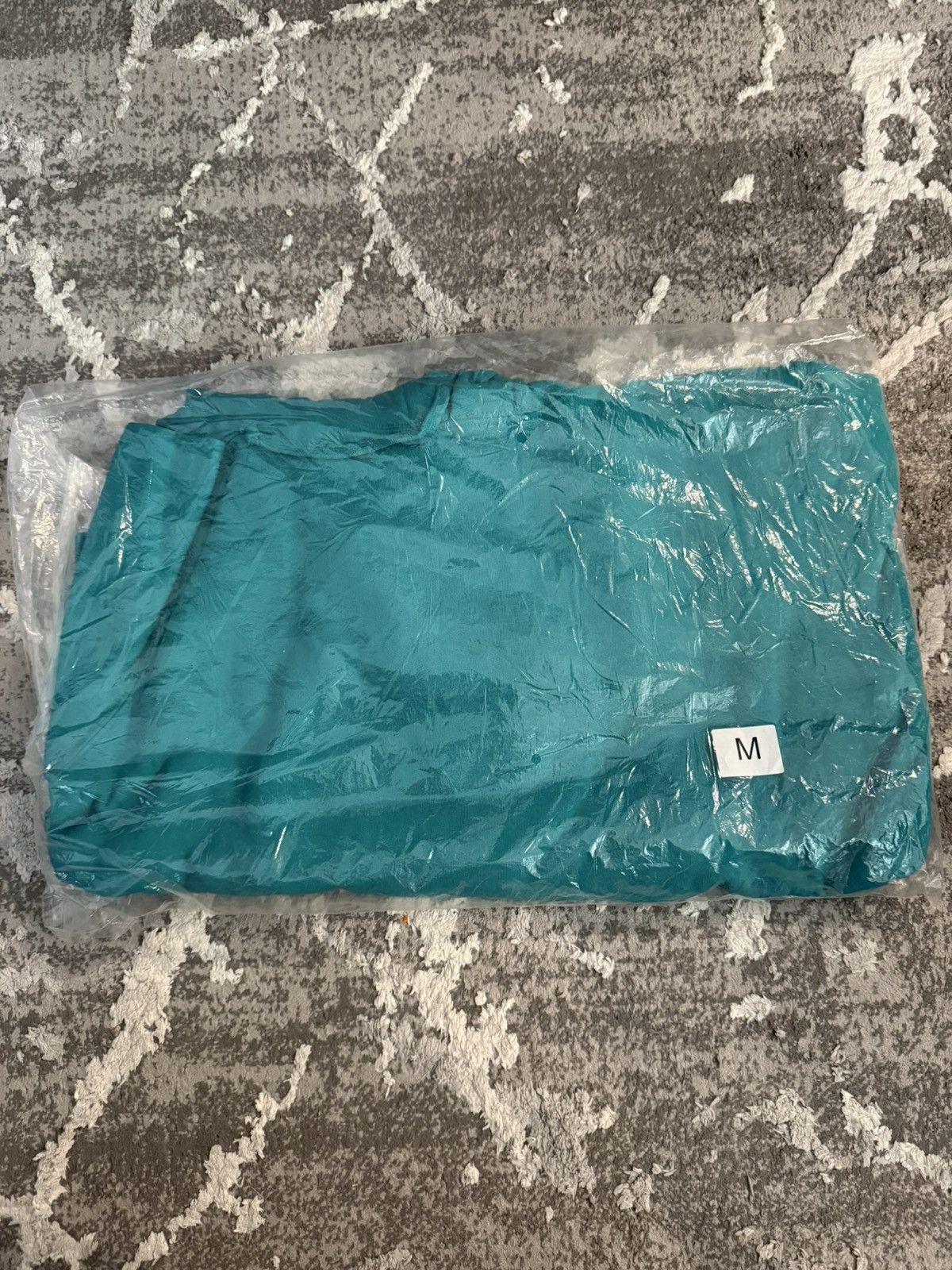 Supreme Supreme Tonal Webbing Hoodie Aqua Size US M / EU 48-50 / 2 - 2 Thumbnail