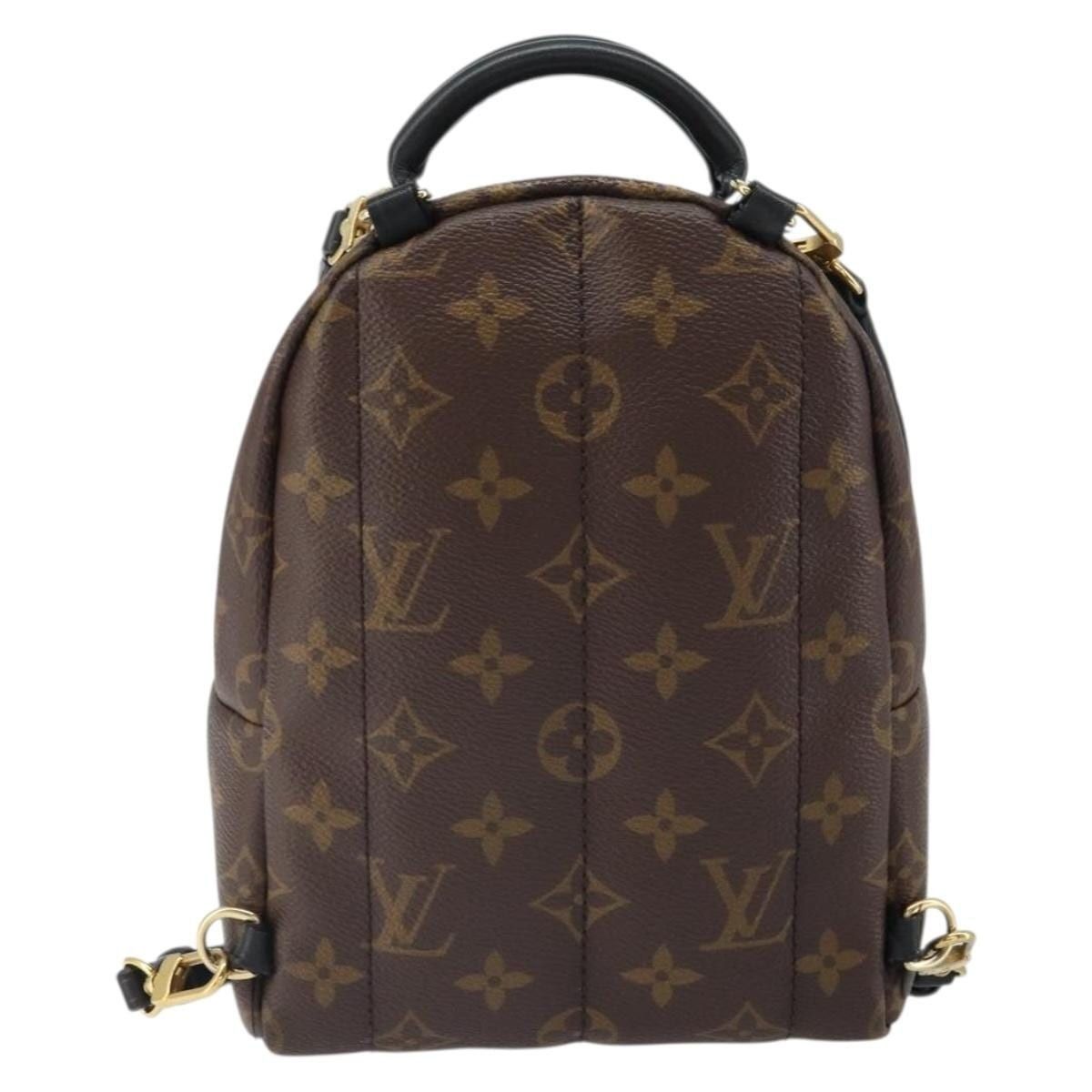 Louis Vuitton Louis Vuitton Monogram Palm Springs Mini Backpack Brown Size ONE SIZE - 3 Thumbnail