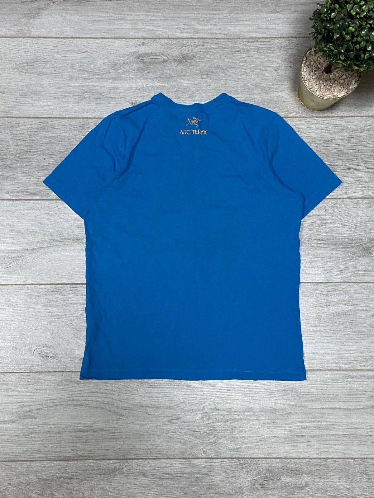 Arc'teryx Arcteryx vintage road to mountains bird logo t-shirt Size US S / EU 44-46 / 1 - 2 Thumbnail
