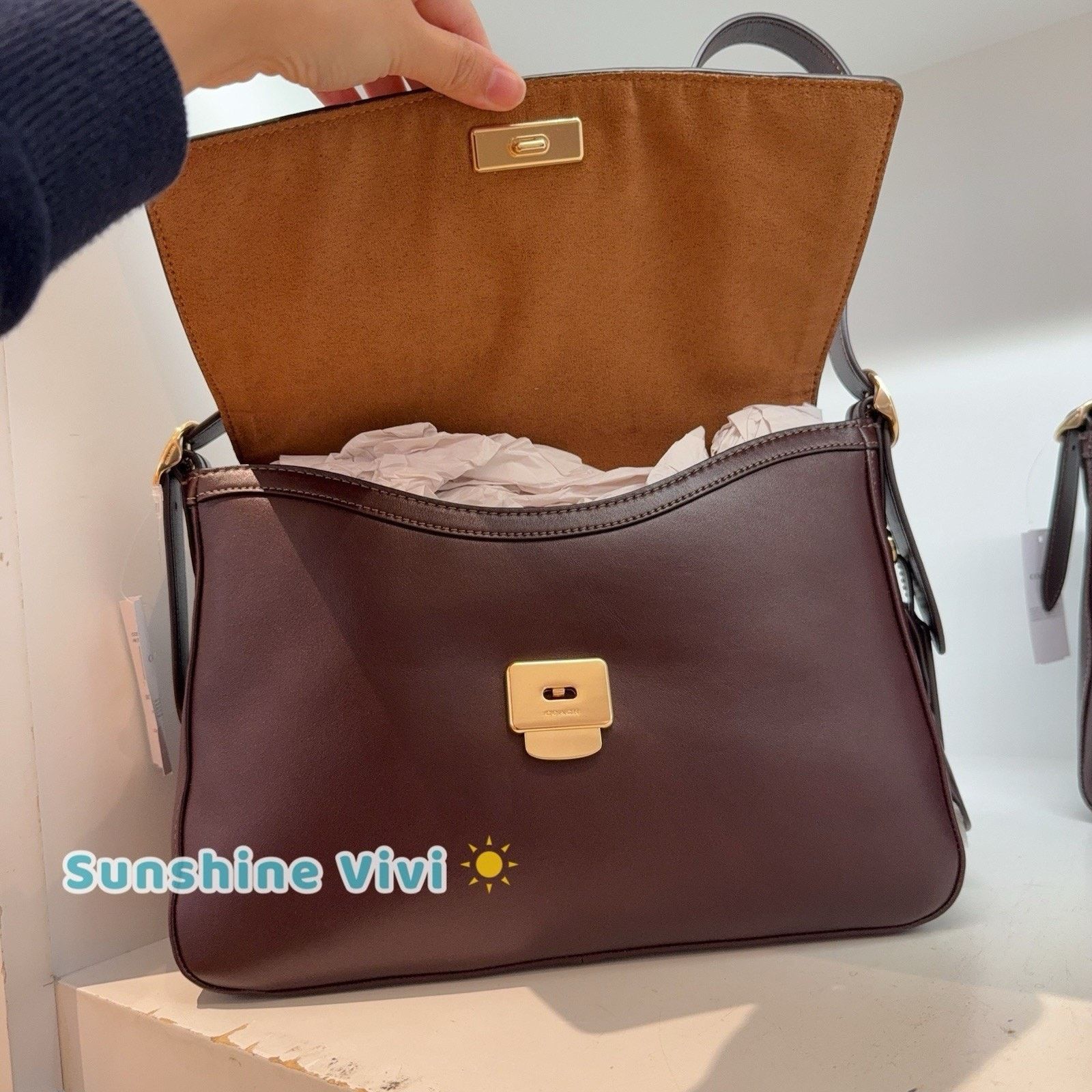Coach NWT Coach Etta flap bag Leather CCE57 Gold/Espresso Size ONE SIZE - 5 Thumbnail