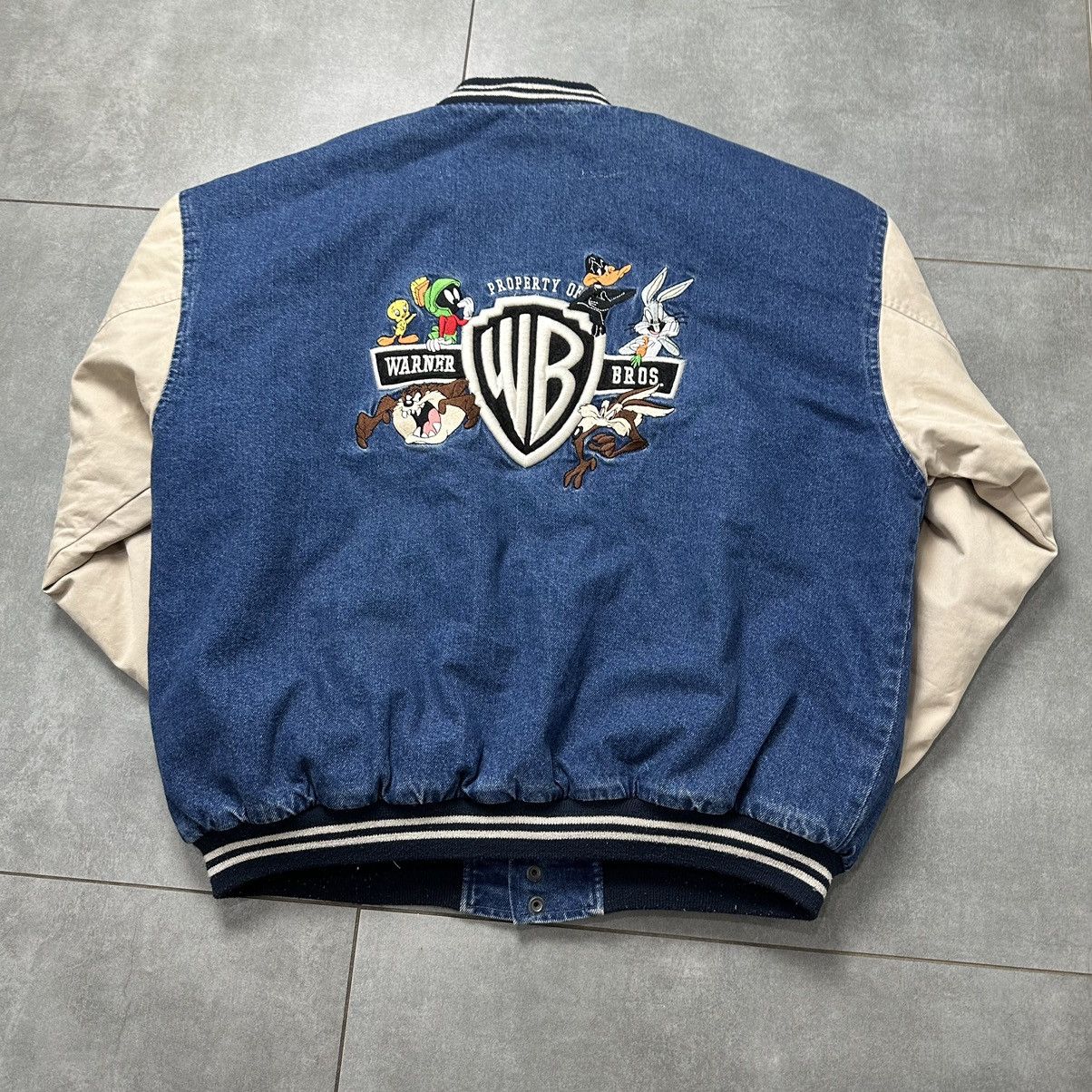 image of Looney Tunes Varsity Jacket in Blue, Men's (Size Large)