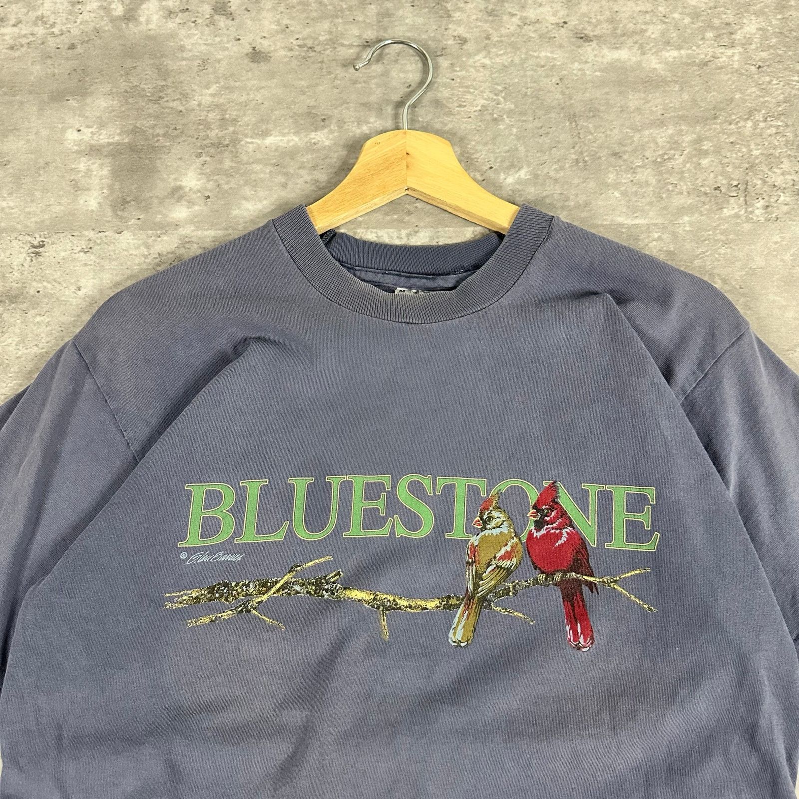 Fruit Of The Loom Vintage Bluestone Nature Bird T-shirt M Size US M / EU 48-50 / 2 - 1 Thumbnail