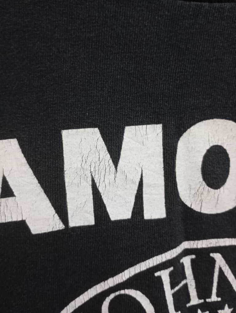 Band Tees Vintage 2004 ramones tee Size US M / EU 48-50 / 2 - 6 Thumbnail