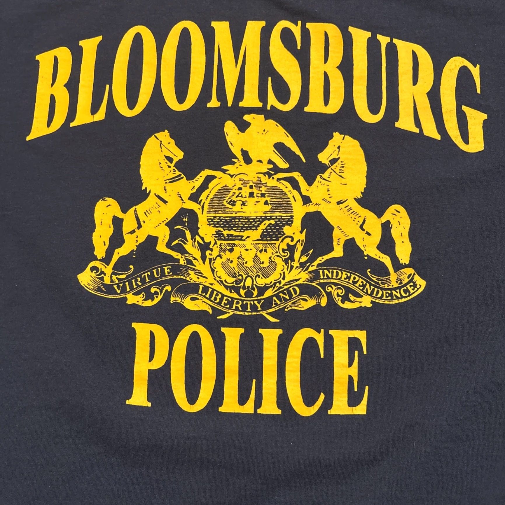 Fruit Of The Loom VINTAGE Bloomsburg Police T Shirt Men L Blue Spell Out EUC Pennsylvania Shirt Adult Large Blue Police Theme Mens Size US L / EU 52-54 / 3 - 2 Thumbnail