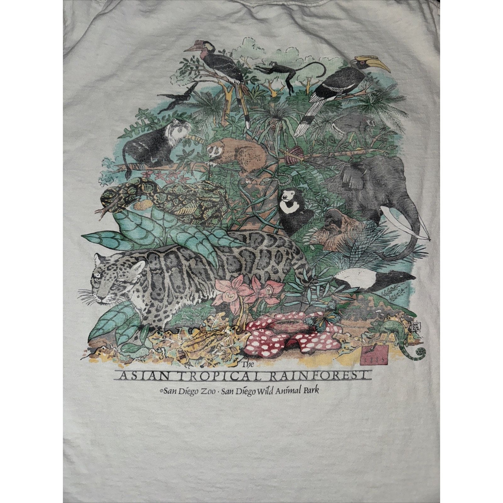 Band Tees × The Mountain Vintage Oneta San Diego Zoo T-Shirt White L 22x26 Tiger Size US L / EU 52-54 / 3 - 9 Thumbnail