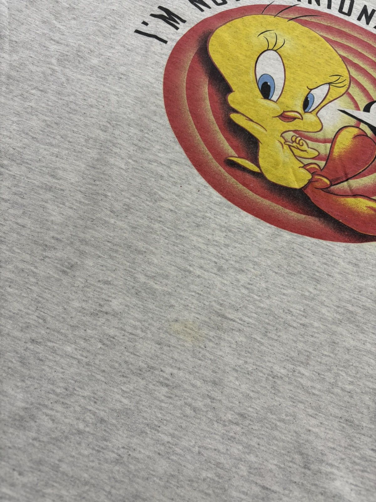 Cartoon Network Vintage Looney Tunes 1995 Tweety I’m Not Optionated T-shirt Size US XXL / EU 58 / 5 - 7 Thumbnail