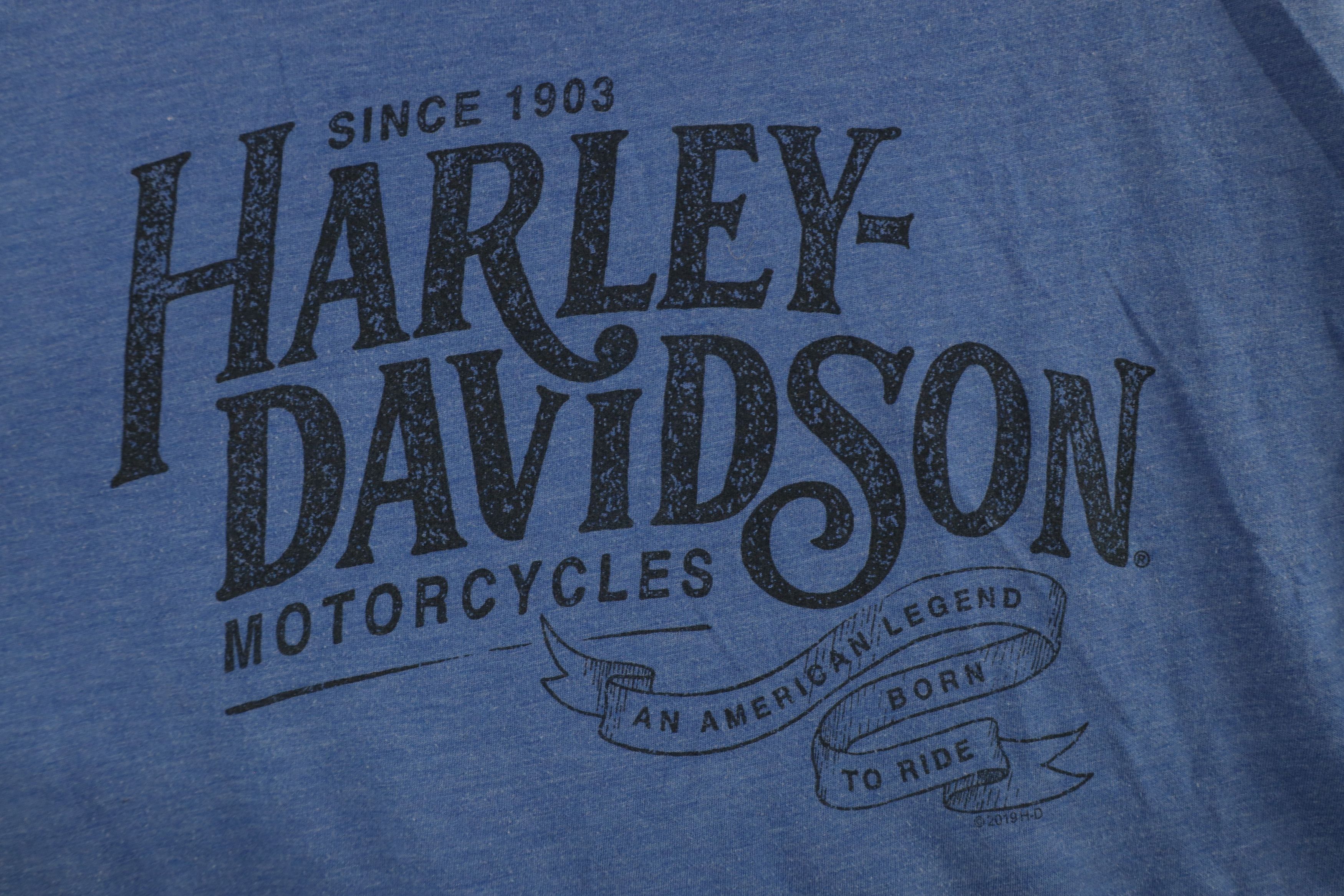 Harley Davidson × Vintage Y2K Harley Davidson Spell Out Big Logo T-Shirt Heather Blue Size US XXL / EU 58 / 5 - 5 Thumbnail