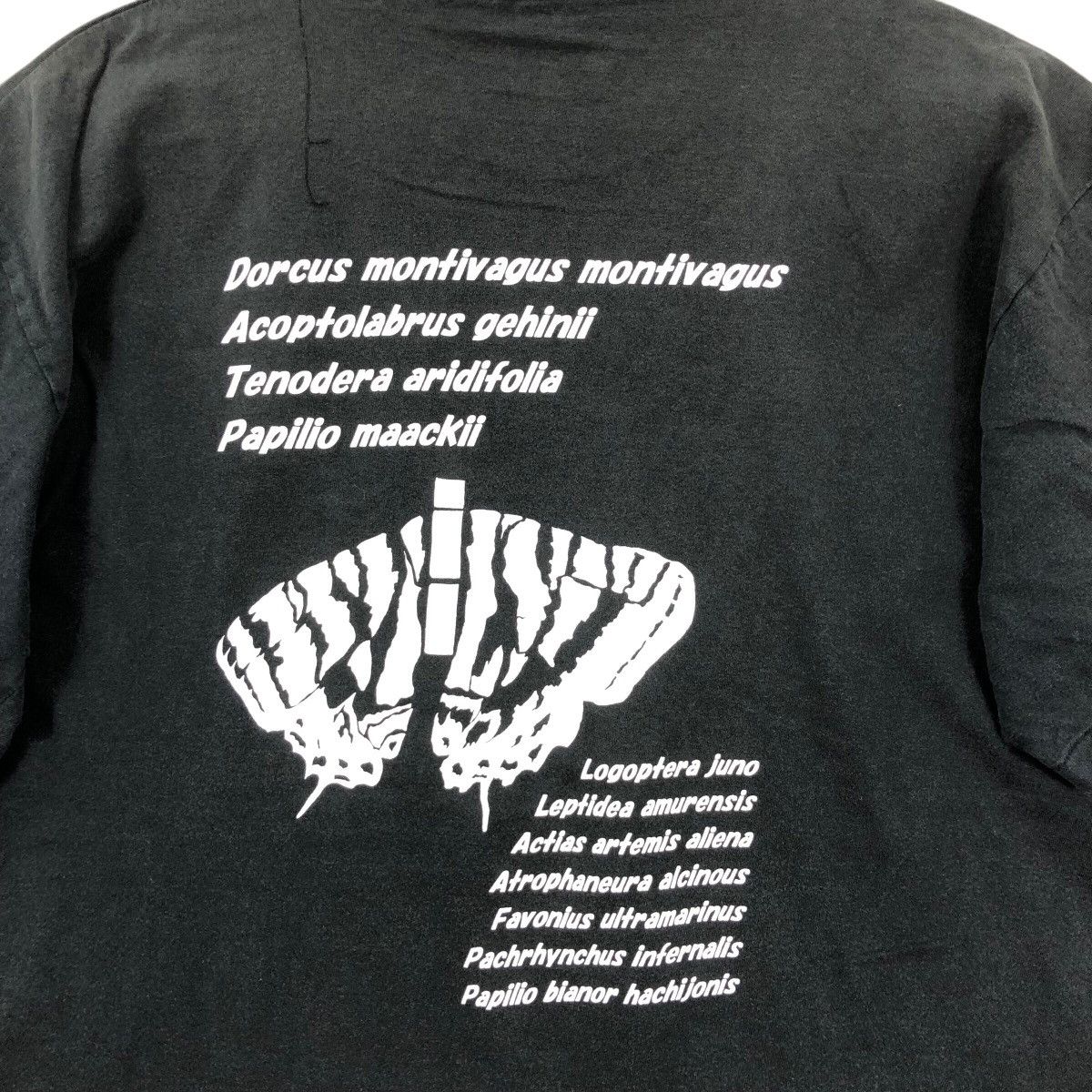 Japanese Brand 2006 Insect Team Seibutsu Dokokai T-Shirt Japanese Ant Image Size US M / EU 48-50 / 2 - 4 Thumbnail