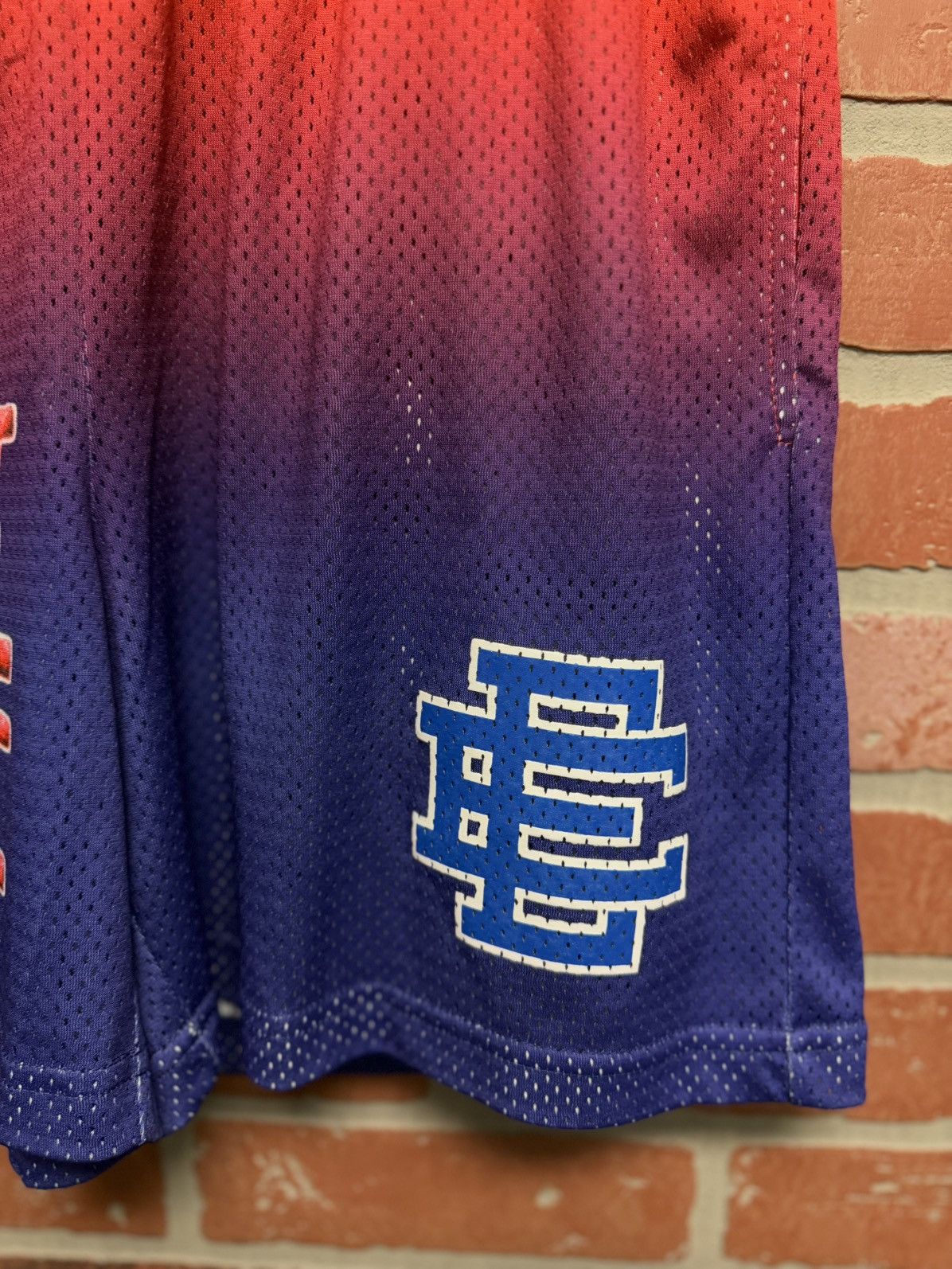 Eric Emanuel × Warren Lotas Eric Emanuel Warren Lotas Mesh Shorts Size M (NEW) Size US 30 / EU 46 - 4 Thumbnail