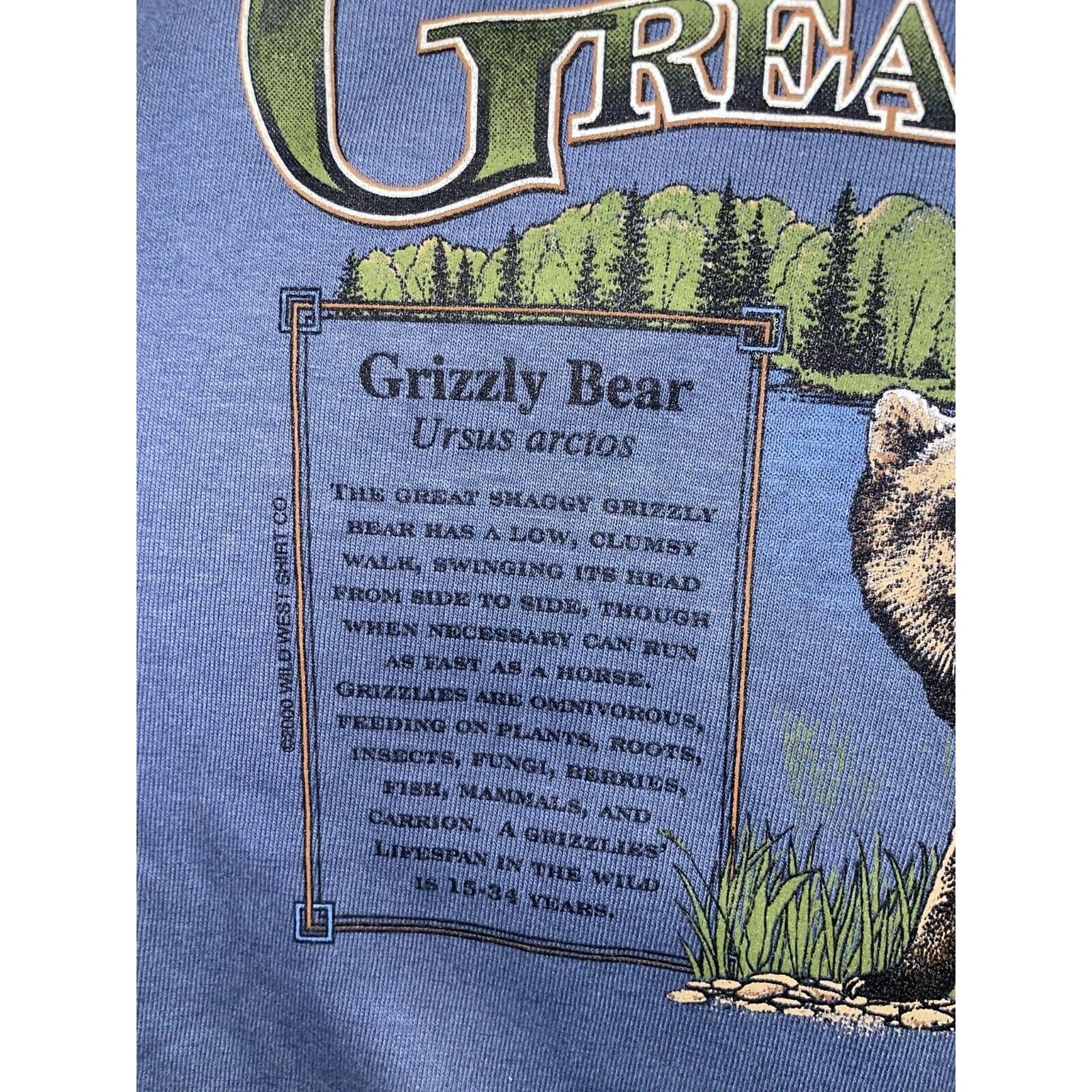 Anvil Vintage Grizzly Bear Shirt The Great Outdoors Tee Nature XL Size US XL / EU 56 / 4 - 6 Thumbnail