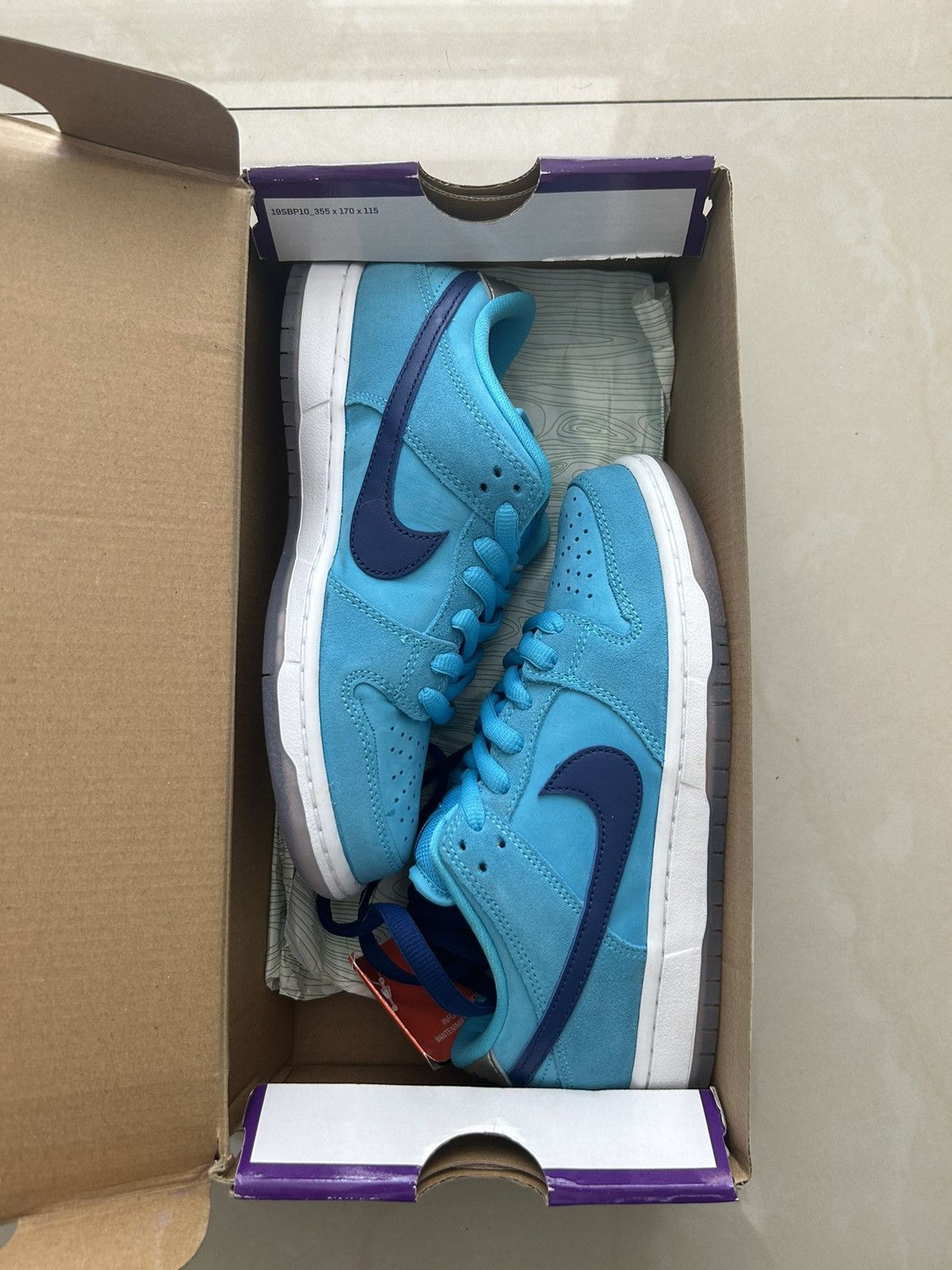Nike sb dunk low blue fury