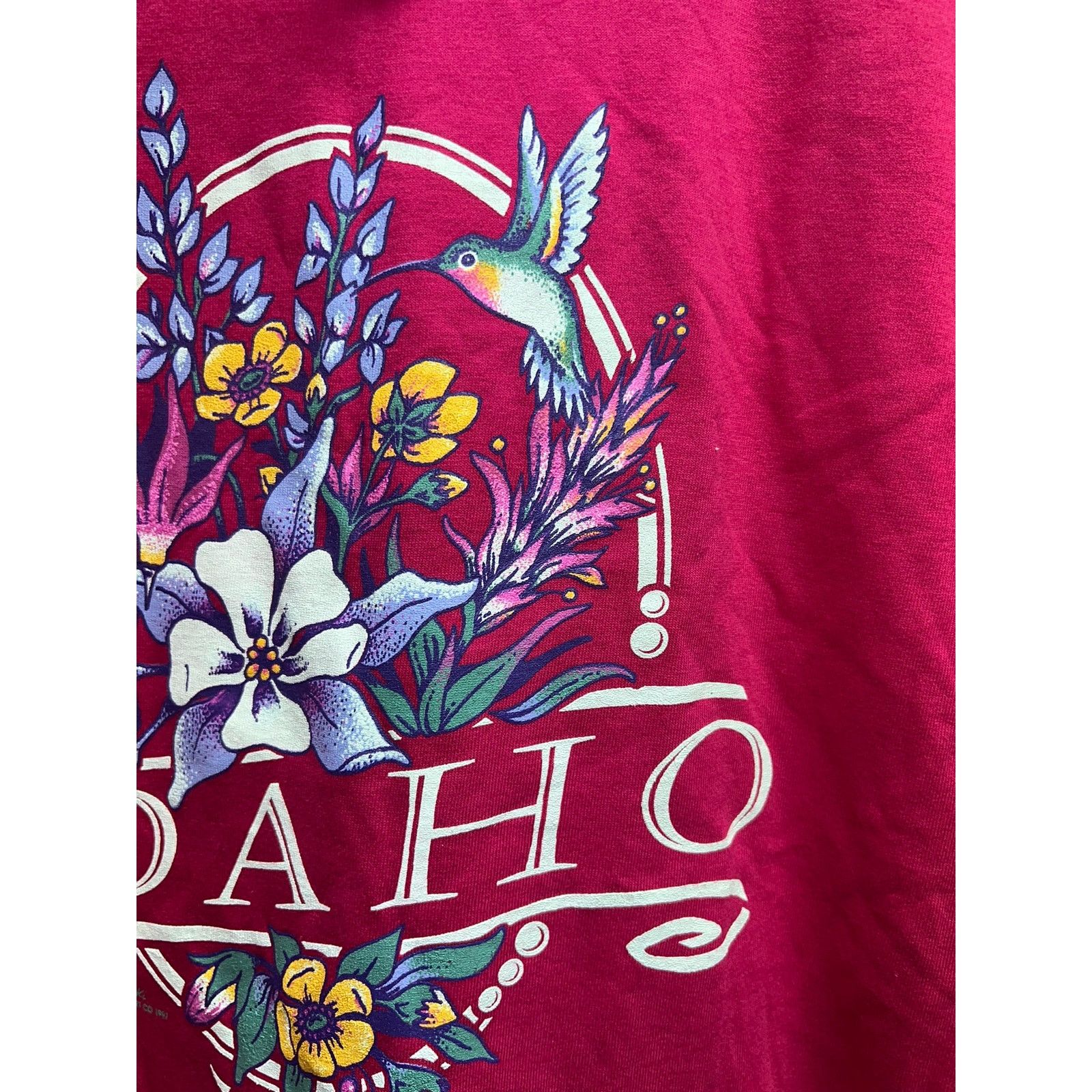 Jerzees Vintage Idaho Shirt Hummingbird Garden Flower Pink Tee 90s M Size US M / EU 48-50 / 2 - 4 Thumbnail