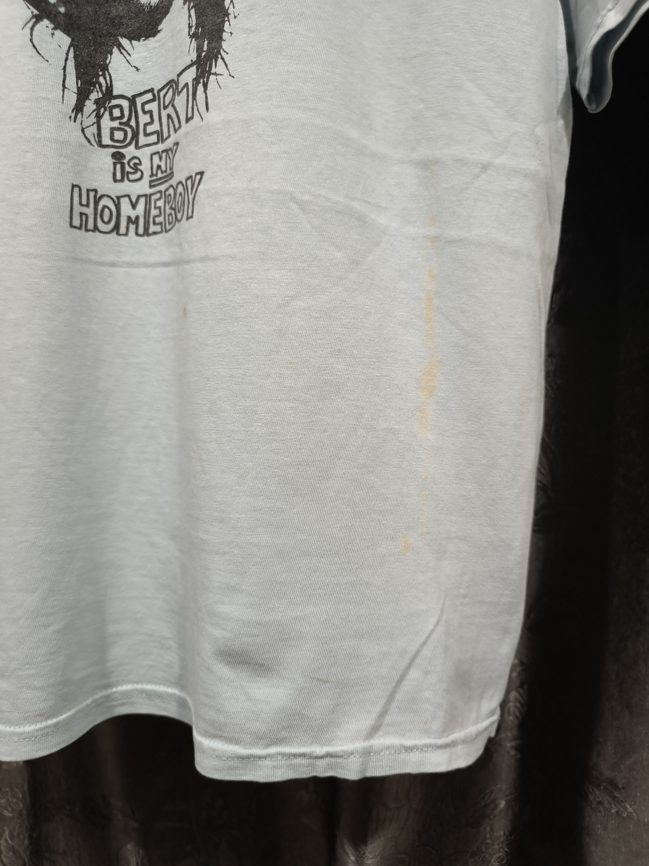 Band Tees Vintage The used (Bert is my home boy) shirt Size US M / EU 48-50 / 2 - 4 Thumbnail