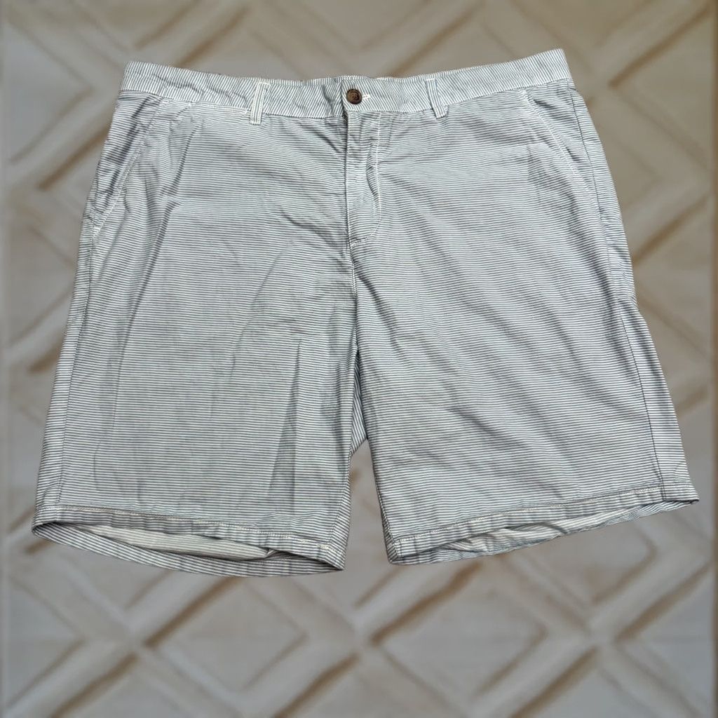 johnnie-O Johnnie-O Striped Chino Shorts Mens 38 Gulf Blue 100% Cotton Flat Front Casual Size US 38 / EU 54 - 1 Thumbnail