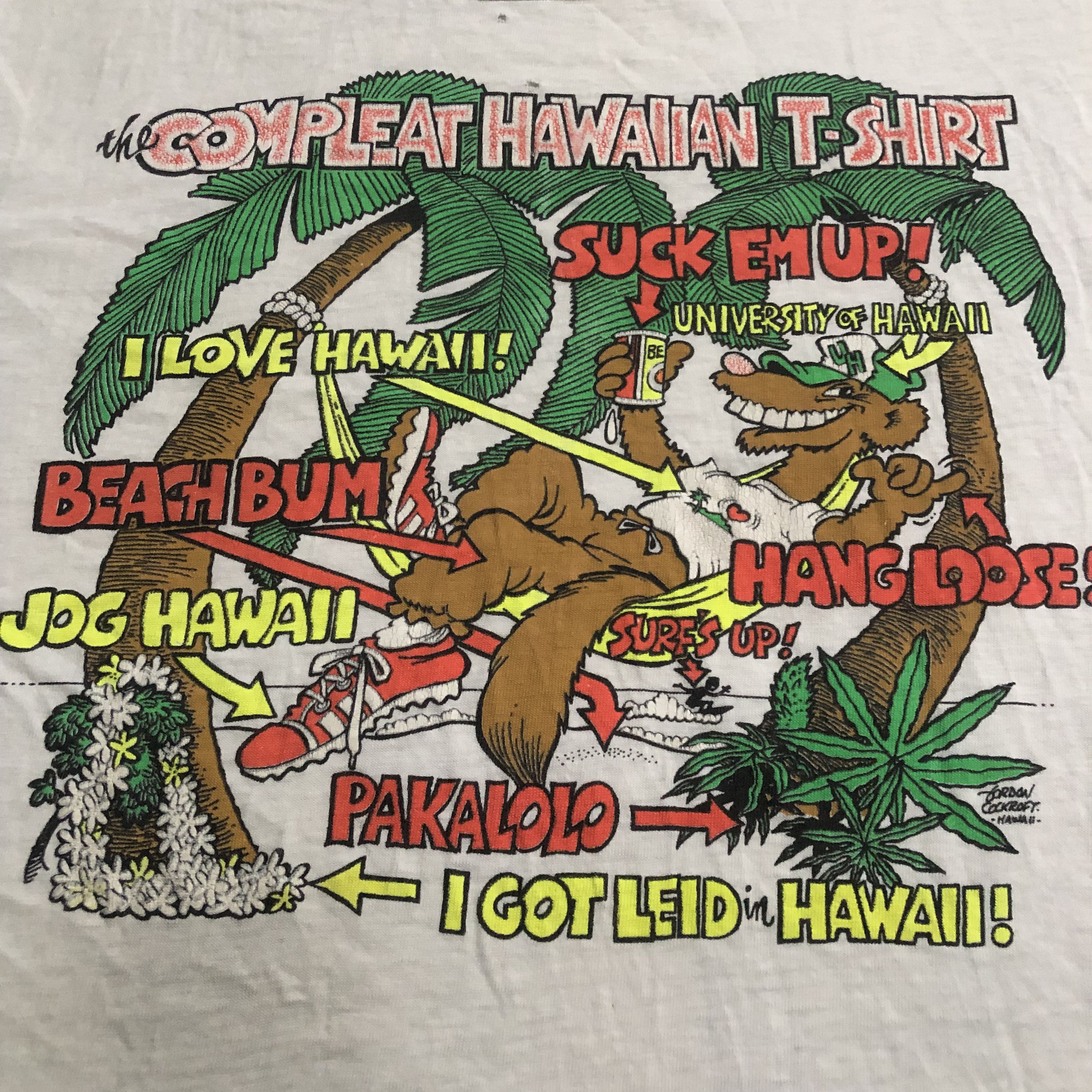 Hanes Vintage Distressed 80s Compleat Hawaii surf camel shirt M Size US M / EU 48-50 / 2 - 1 Thumbnail
