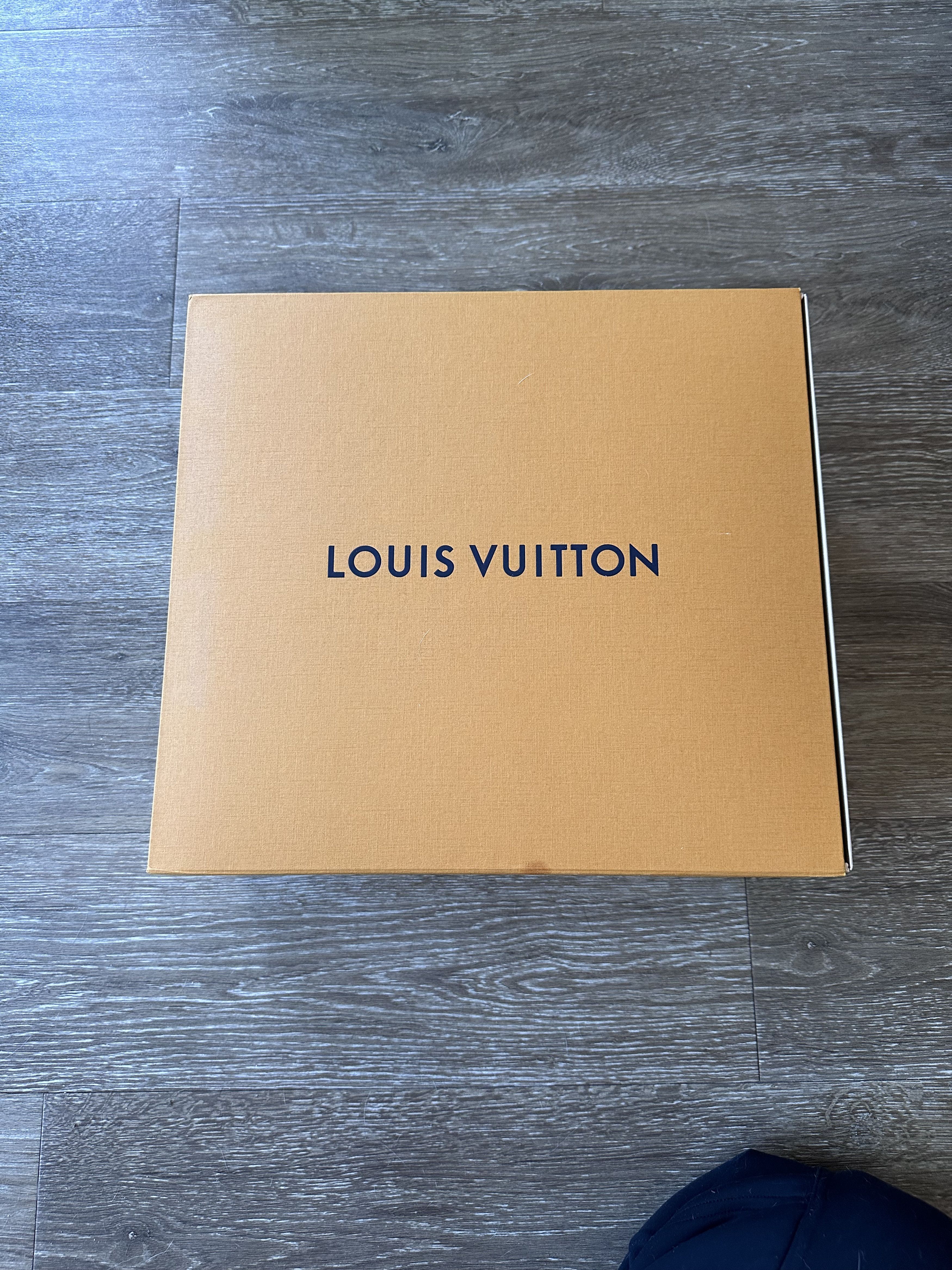 Louis Vuitton Louis Vuitton Ranger ankle boot “Noir” Size US 10 / EU 43 - 1 Thumbnail