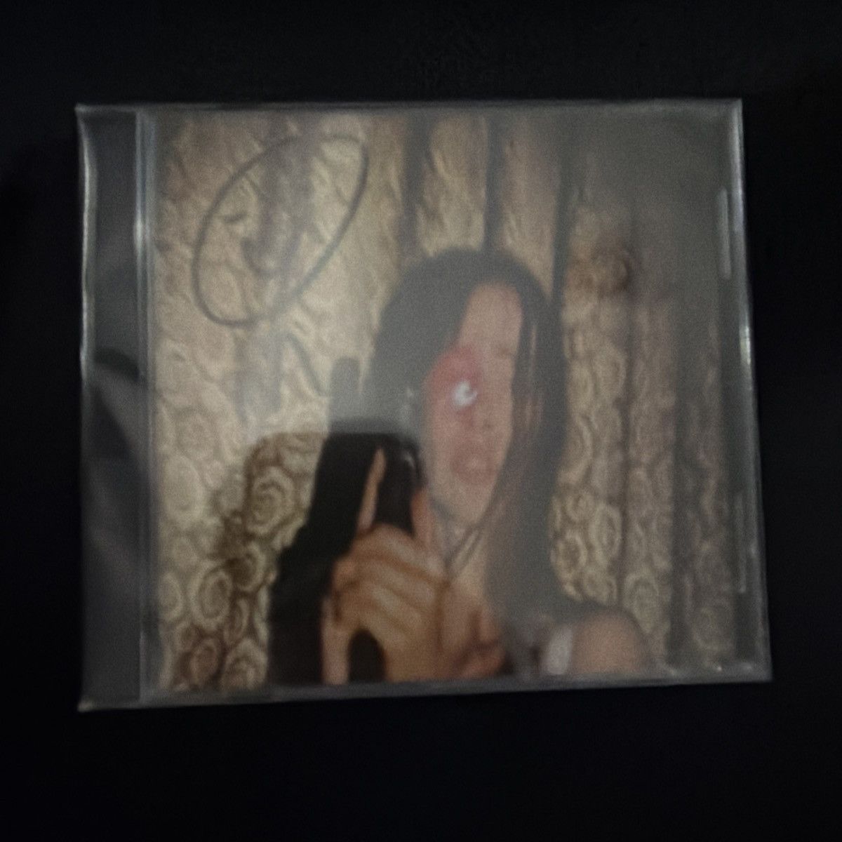 Other FAKEMINK SIGNED* TERRIFIED CD Size ONE SIZE - 4 Thumbnail