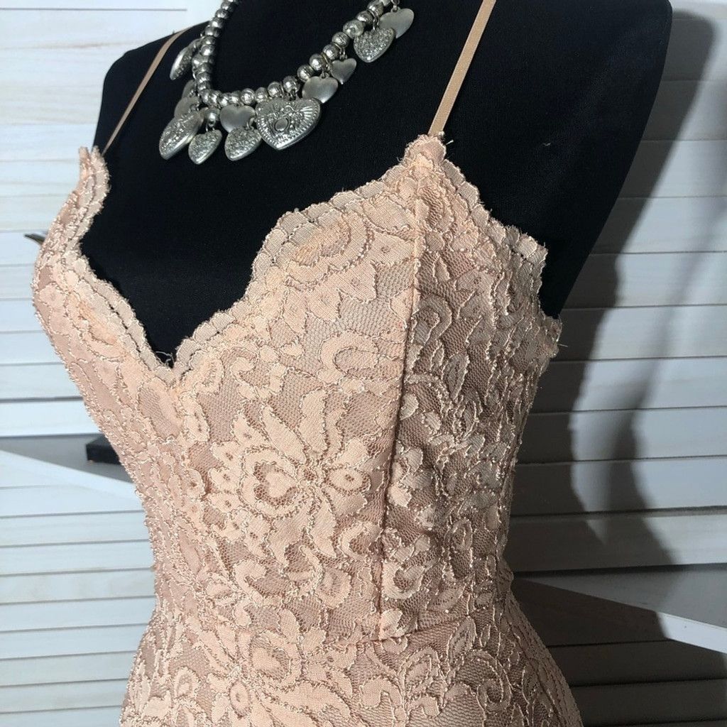 Windsor Smith NWOT Windsor Chantilly Bodycon Dress Lace Mermaid Hem Pink L Size L / US 10 / IT 46 - 6 Thumbnail