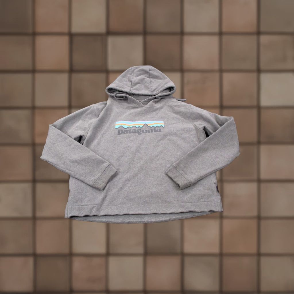Patagonia Patagonia Hoodie Women's L Gray Pullover Knit Logo Sweatshirt Activewear Thermal Hooded Size L / US 10 / IT 46 - 1 Thumbnail