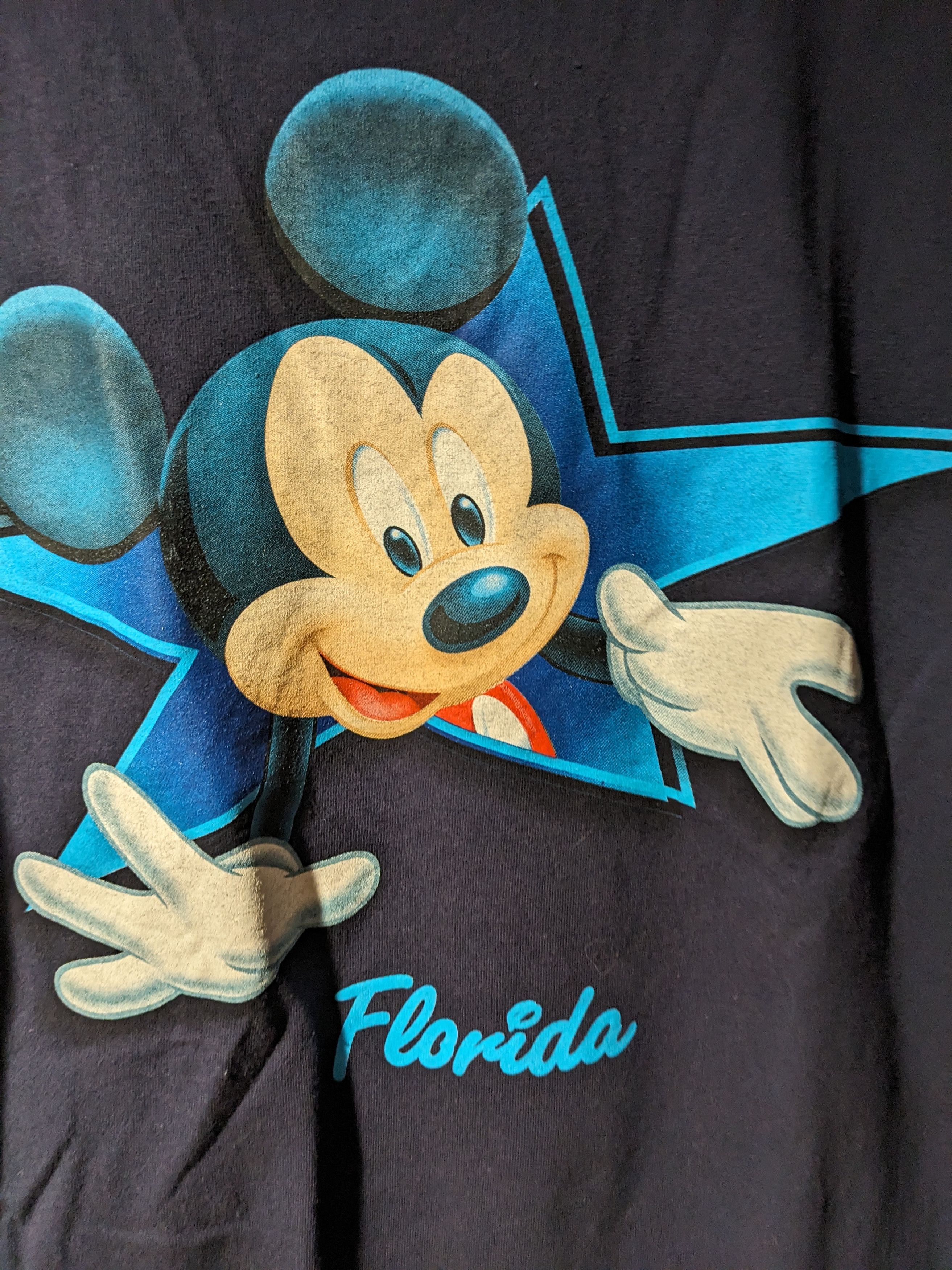 Disney Vintage Y2K Disney Florida Mickey Mouse Donald Duck T-Shirt Size US M / EU 48-50 / 2 - 4 Thumbnail