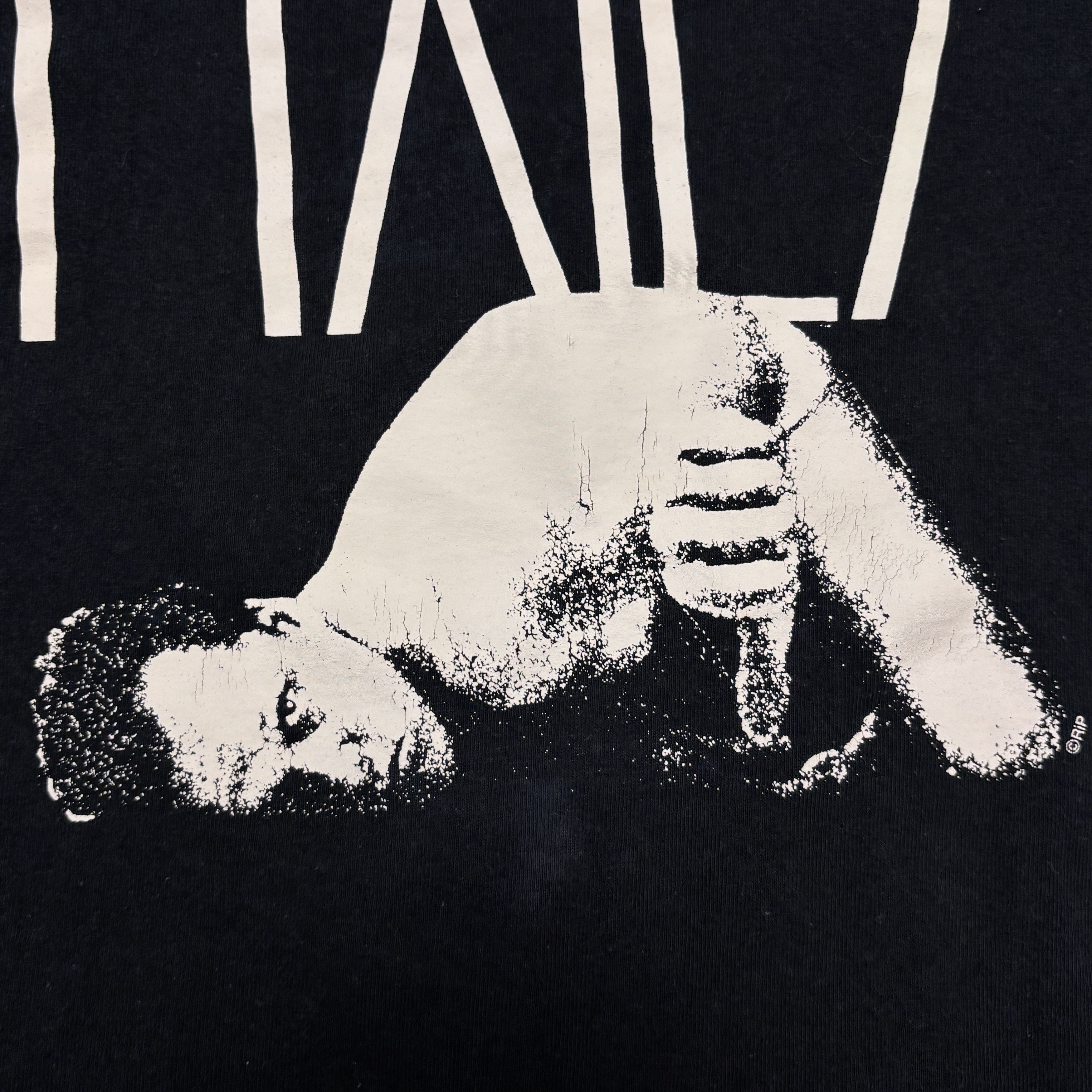 Band Tees Vintage Pixies Shirt Y2K Tour Concert Rock Band Tee Size US L / EU 52-54 / 3 - 3 Thumbnail