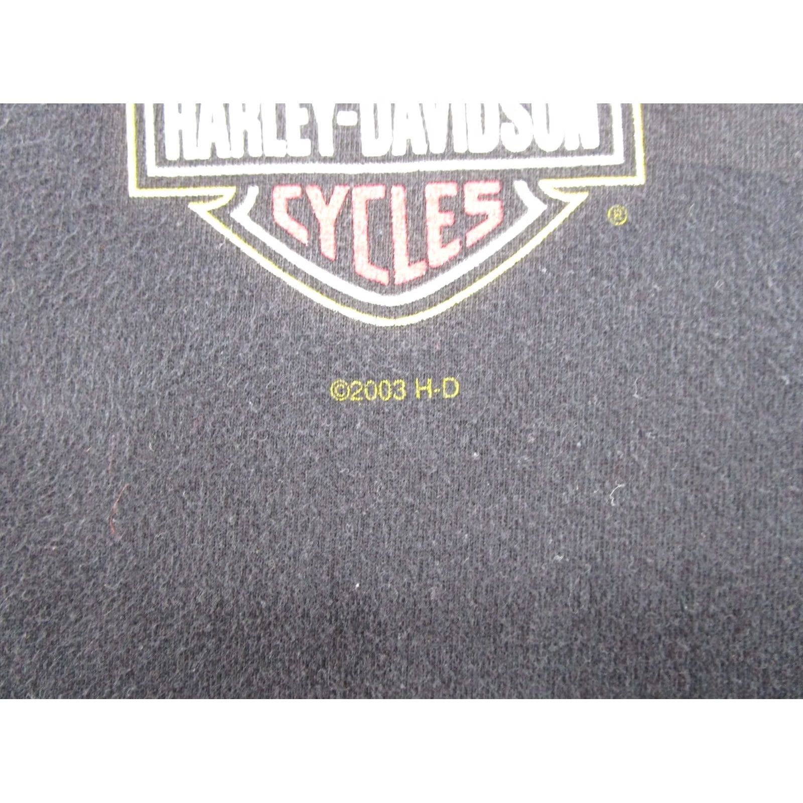 Harley Davidson Harley-Davidson T-Shirt Graphic Print Vintage MoTown 2003 Detroit Michigan Crew Neck Short Sleeve L Black Mens Vintage Tee Size US L / EU 52-54 / 3 - 3 Thumbnail