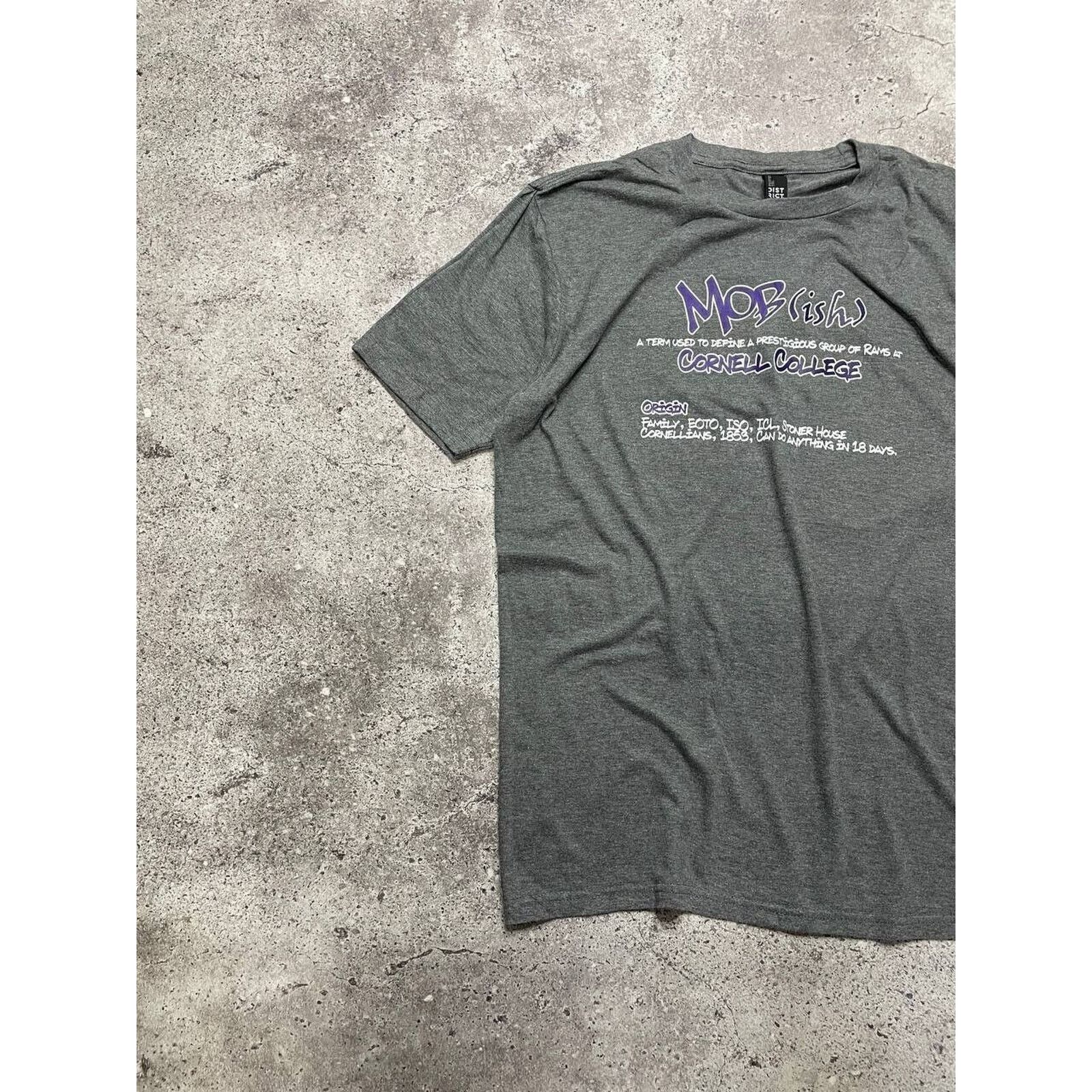 Vintage Vintage Cornell College ISO T-Shirt Gray M International Size US M / EU 48-50 / 2 - 2 Thumbnail