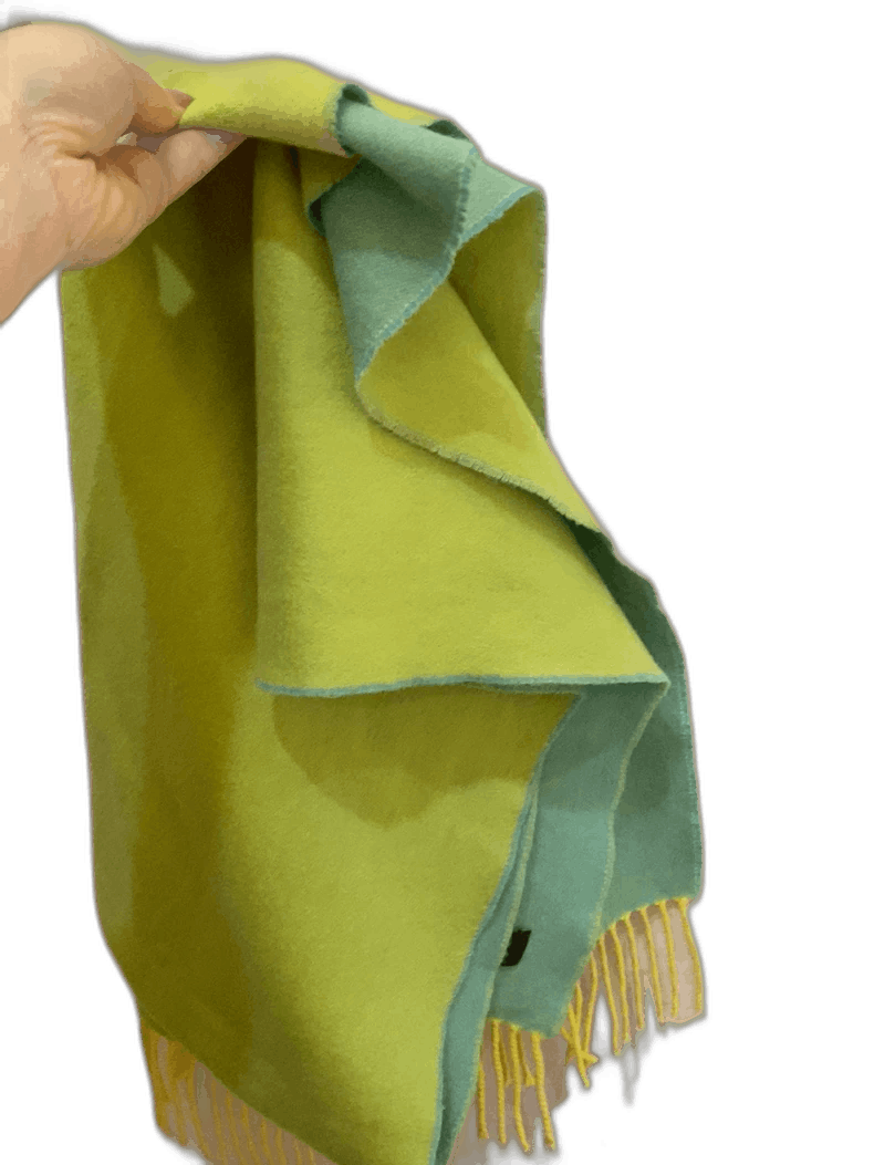Loro Piana Loro Piana Dual-Sided Cashmere Scarf Size ONE SIZE - 1 Thumbnail