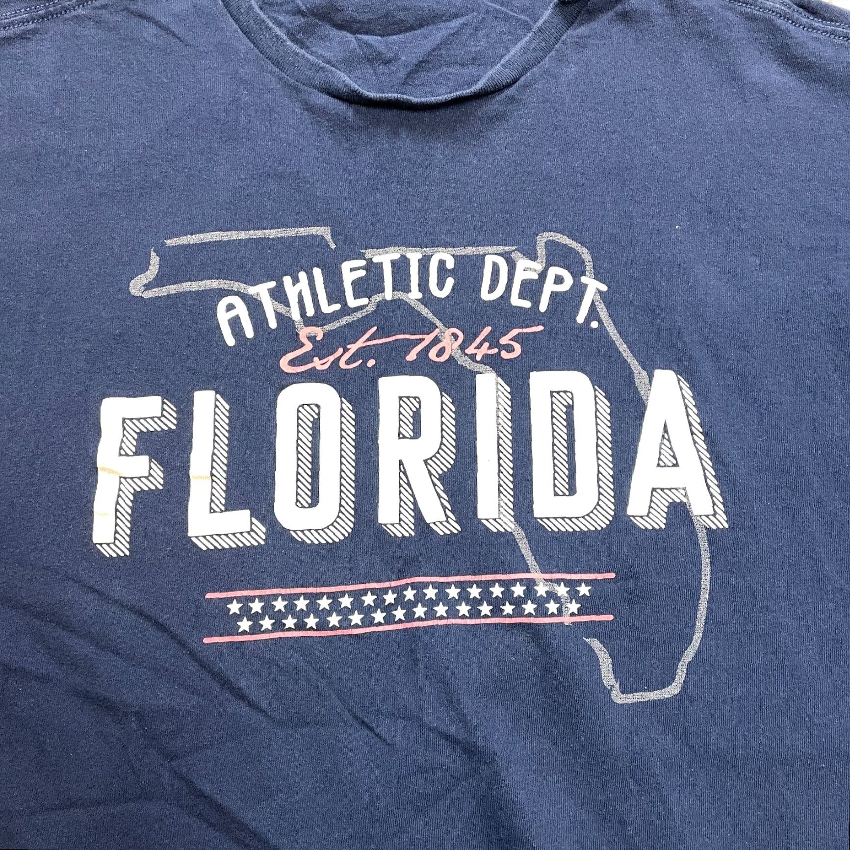 Delta Delta Shirt Mens 2XL Blue Florida Graphic Tee Short Sleeve Cotton Jersey Crew Neck Regular Fit Size US XXL / EU 58 / 5 - 2 Thumbnail