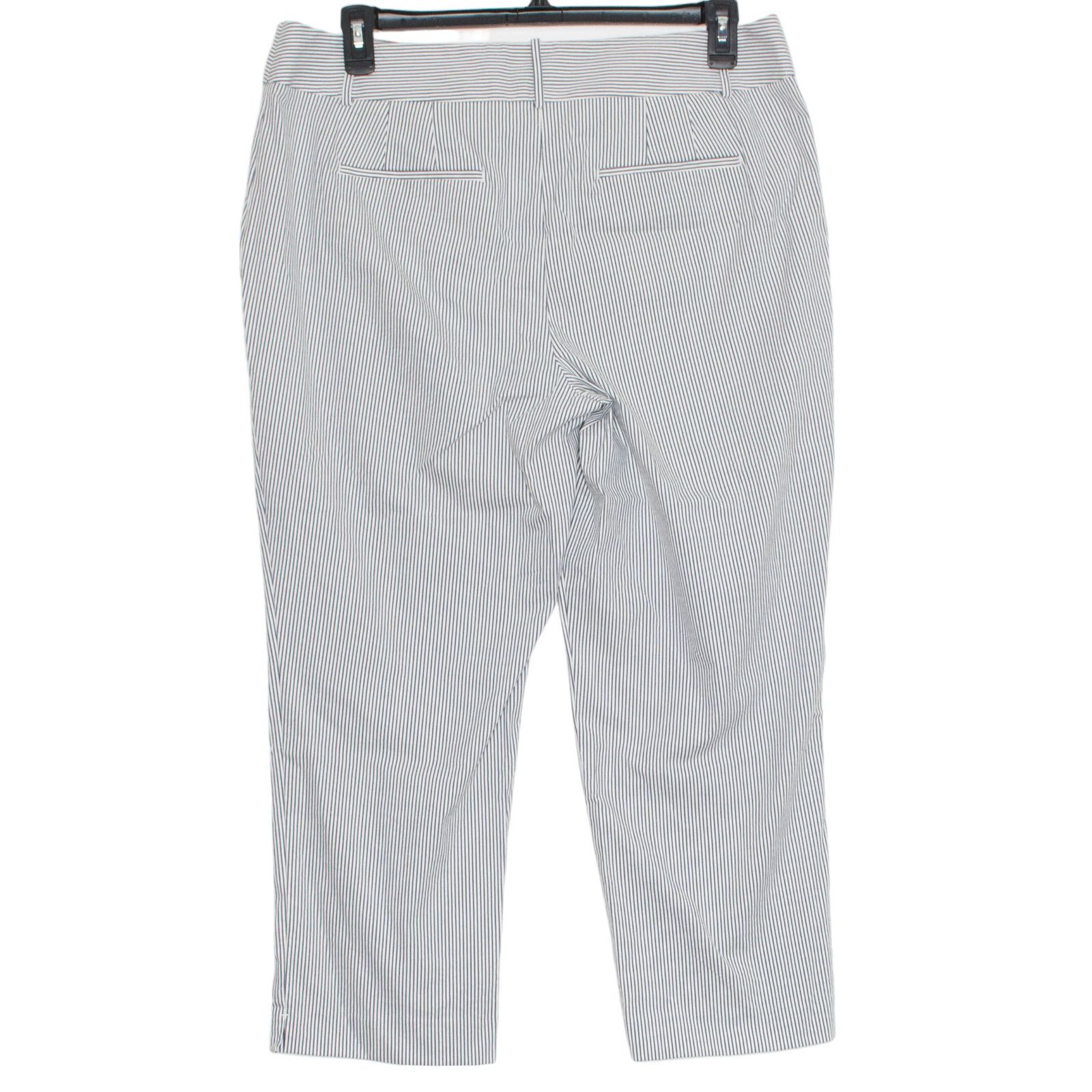 Ann Taylor NWT Ann Taylor Pants High Rise Striped Blue White Ankle 14 Size 36" / US 14 / IT 50 - 2 Thumbnail