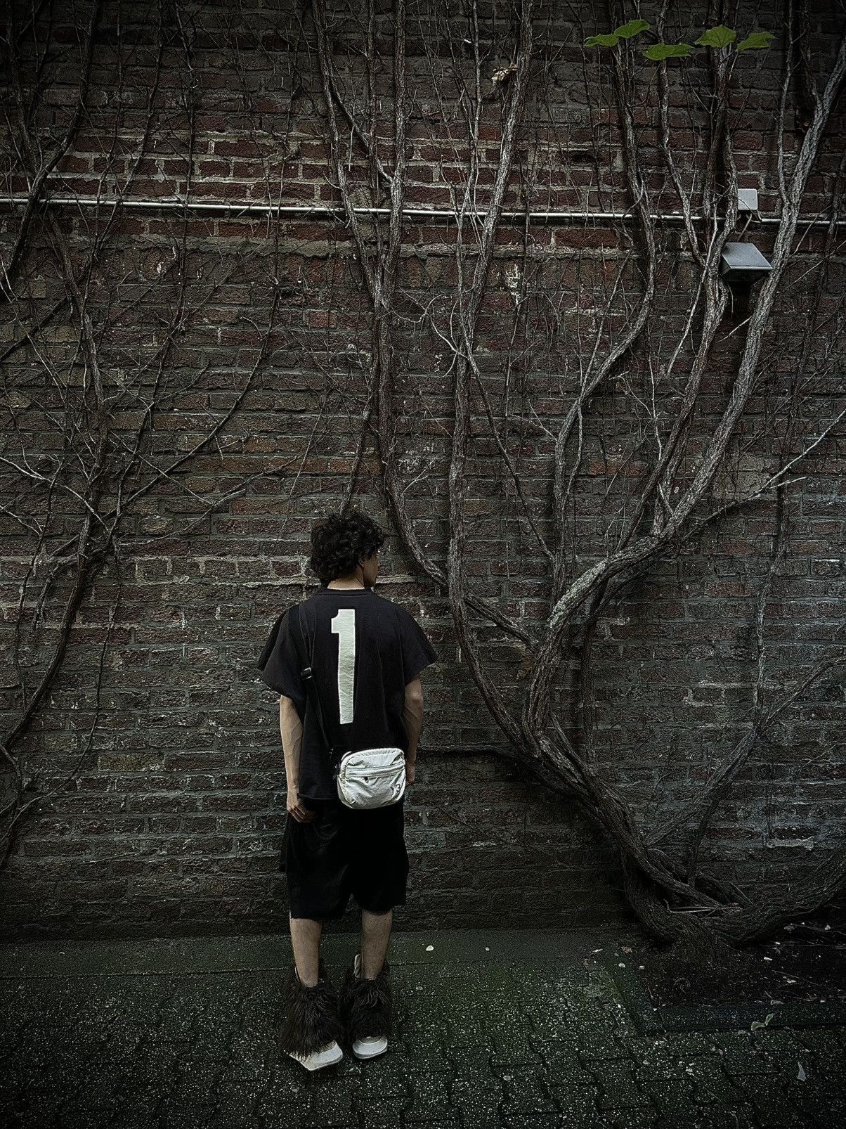 Rick Owens Rick Owens shorts Size US 30 / EU 46 - 3 Thumbnail