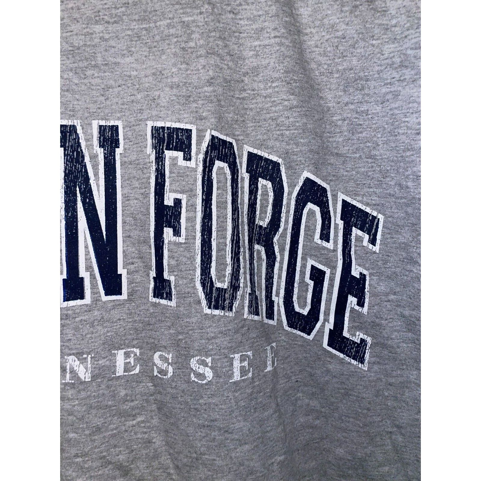 Jerzees Vintage Pigeon Forge Shirt TN Tennessee Gray Tee VTG 90s L Size US L / EU 52-54 / 3 - 4 Thumbnail