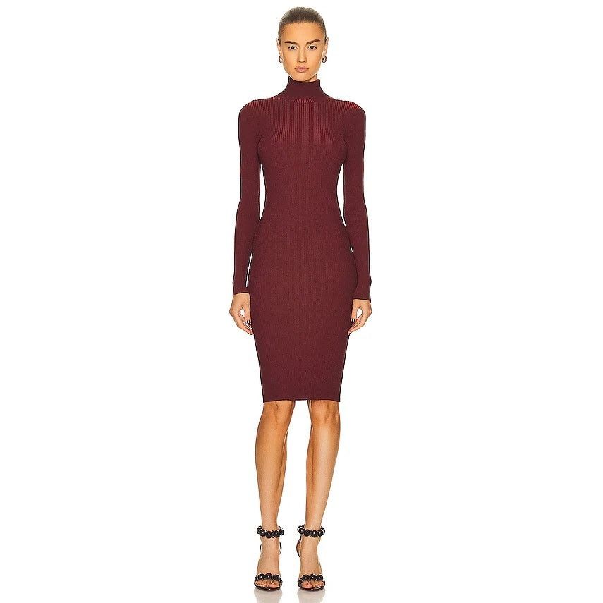 Wolford Wolford Burgundy Red Merino Wool Ribbed Turtleneck Dress XS Size XS / US 0-2 / IT 36-38 - 1 Thumbnail