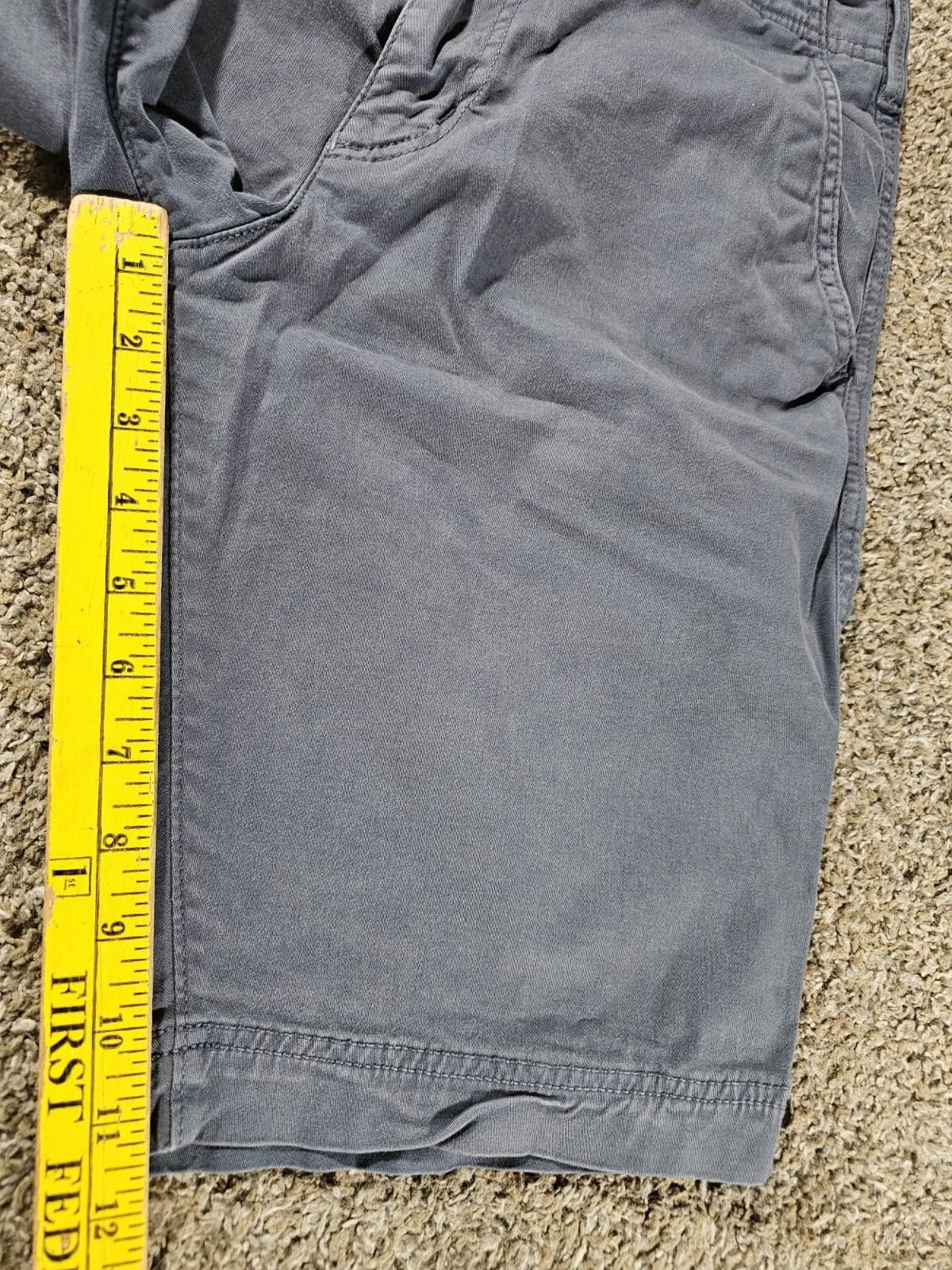 American Eagle Outfitters American Eagle Extreme Flex 29 Long Length Shorts Blue Gray Size US 29 - 6 Thumbnail