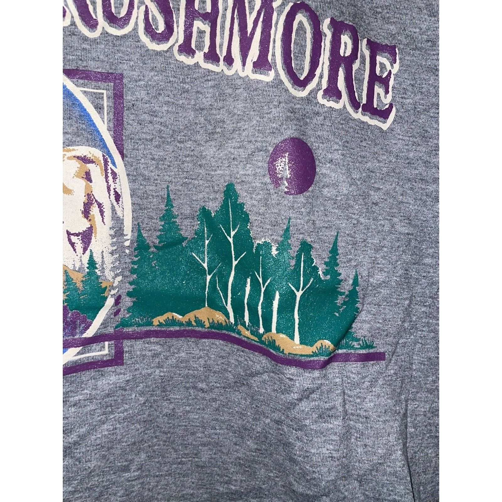 Jerzees Vintage South Dakota Shirt Mount Rushmore Gray 90s Tee VTG L Size US L / EU 52-54 / 3 - 5 Thumbnail