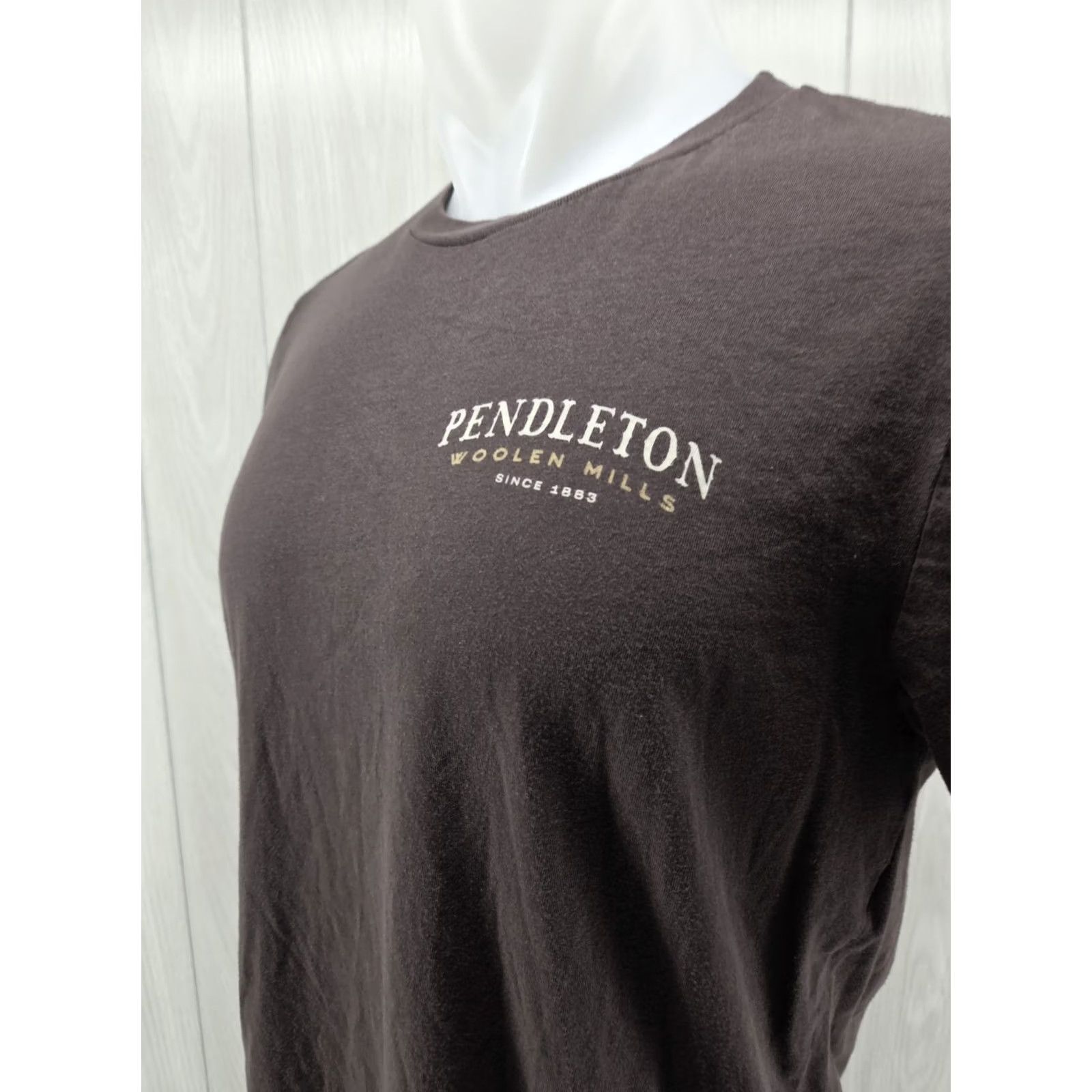 Pendleton Pendleton Graphic T Shirt Brown Large Western Cow Skull Mens T-Shirt Short Sleeve Size US L / EU 52-54 / 3 - 6 Thumbnail