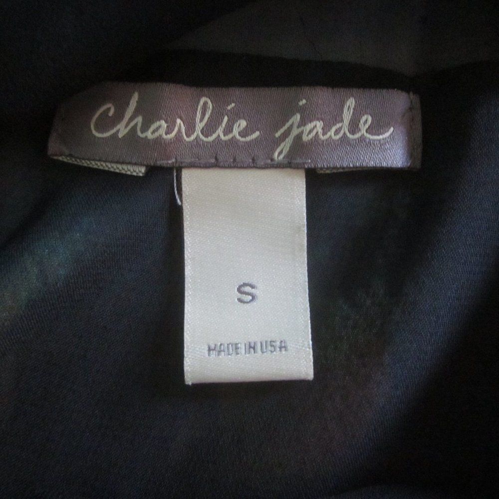 Anthropologie Charlie Jade Silk Dress Size S Size S / US 4 / IT 40 - 4 Thumbnail