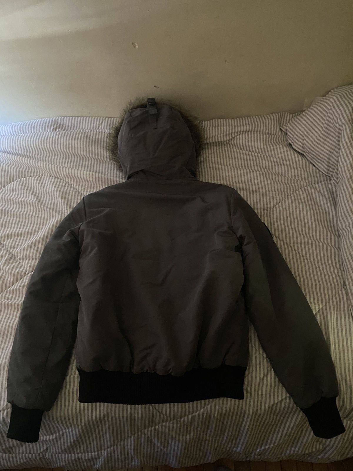 Designer × Superdry Superdry Bomber Jacket Size US S / EU 44-46 / 1 - 5 Thumbnail