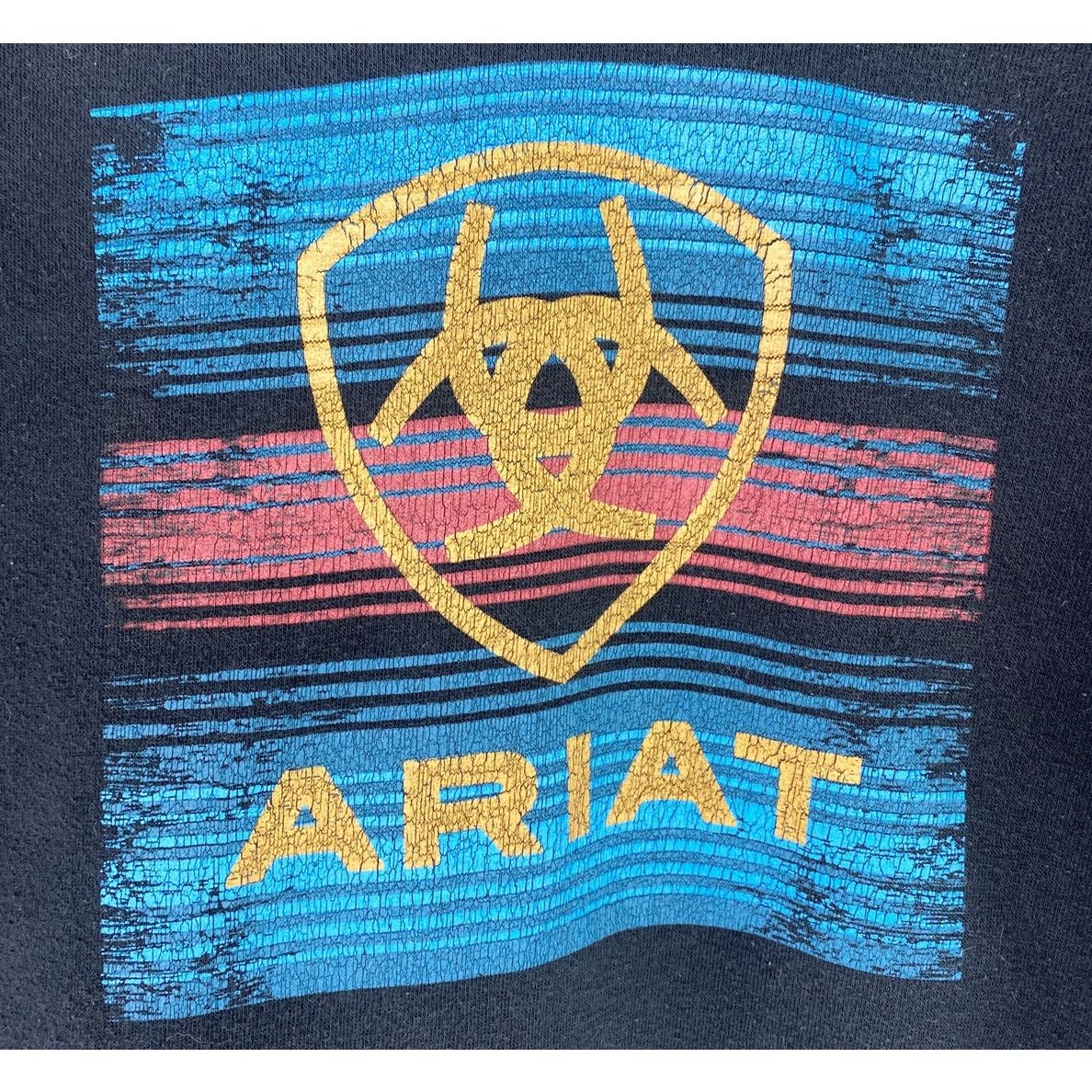 Ariat Ariat Tall Black Graphic Logo Pullover Hoodie No Drawstring Size US XL / EU 56 / 4 - 2 Thumbnail