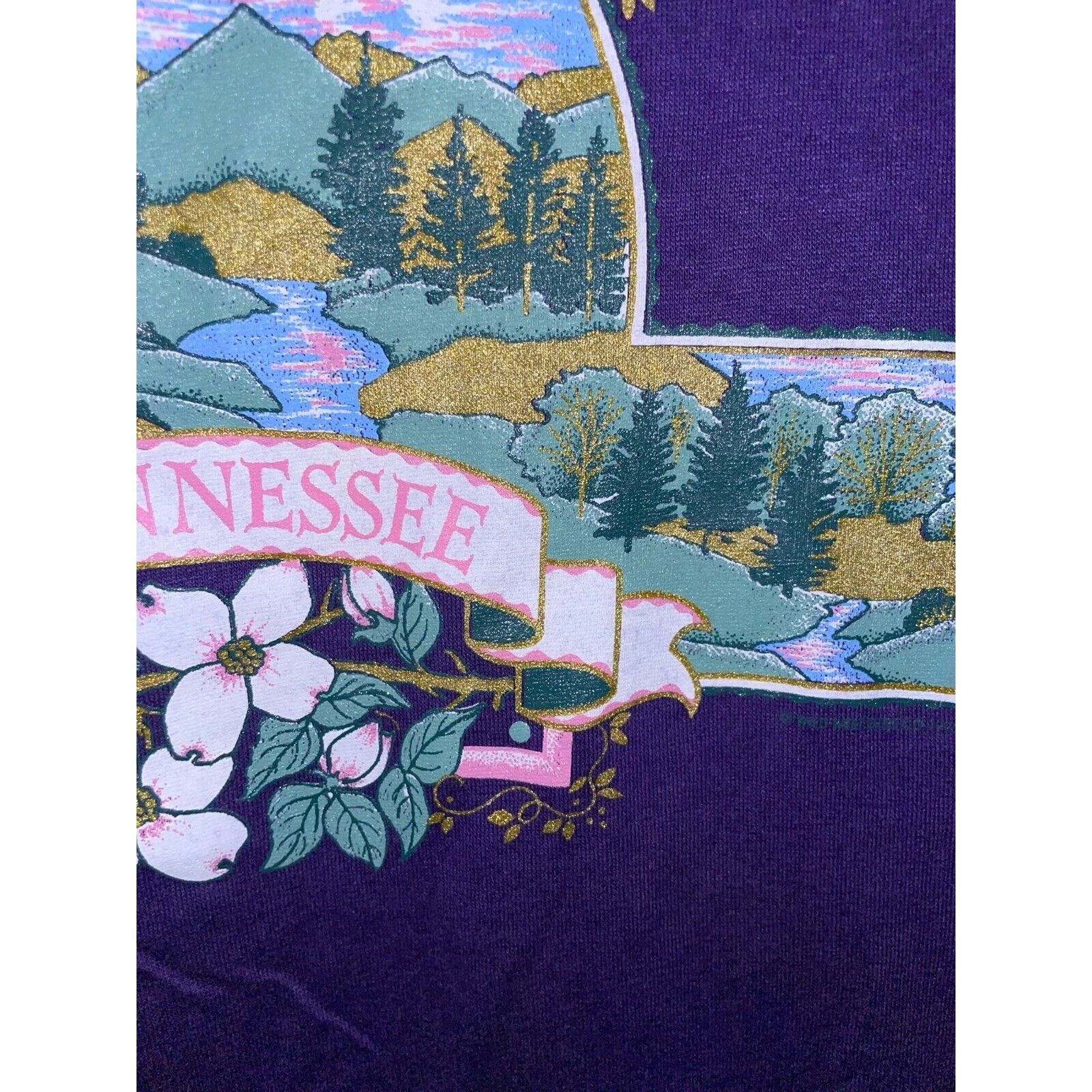 Jerzees Vintage Gatlinburg Tennessee Shirt Graphic Tee 90s VTG Large Size US L / EU 52-54 / 3 - 4 Thumbnail