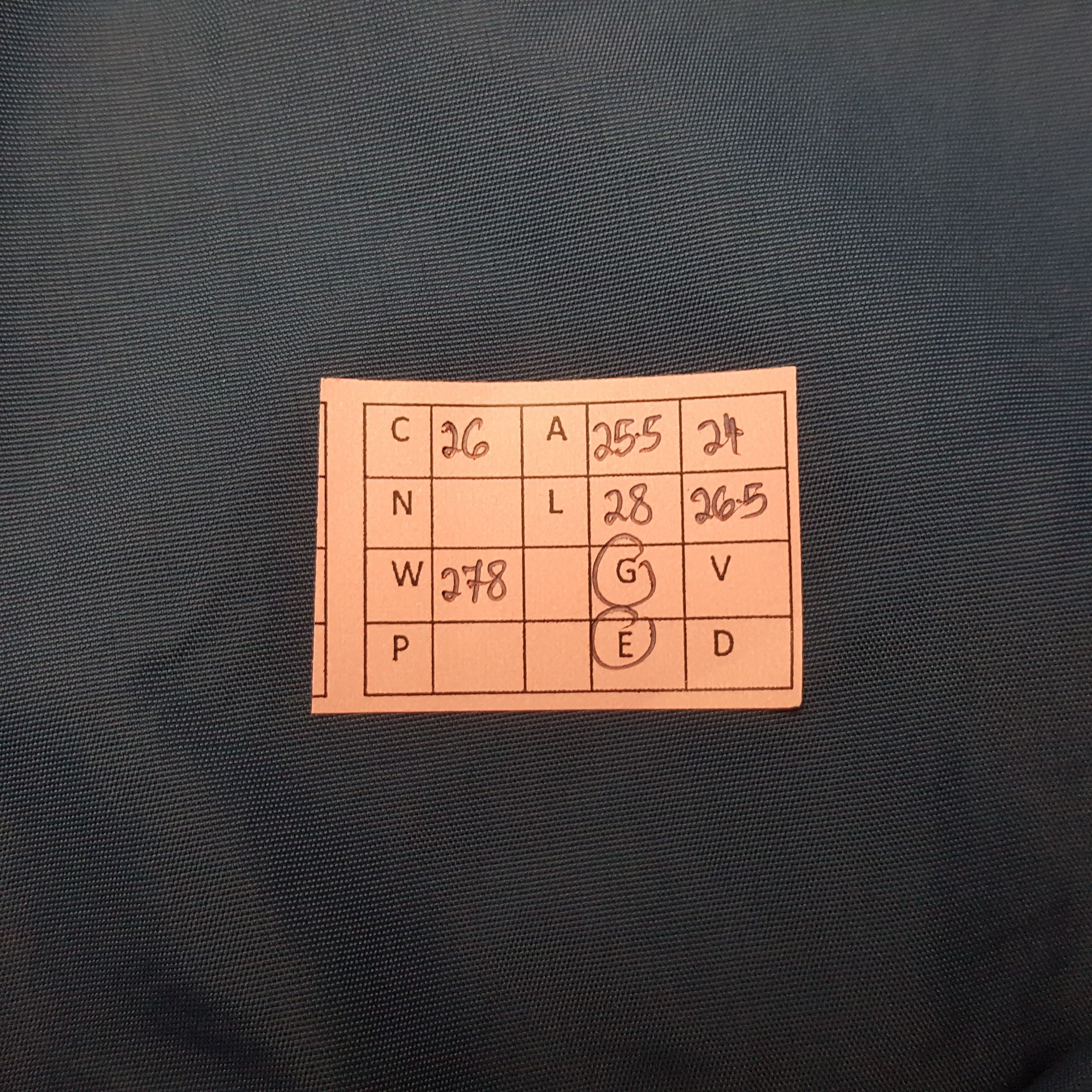 Champion LLOYD Champion Sweatshirt RR26 Size US XL / EU 56 / 4 - 9 Thumbnail