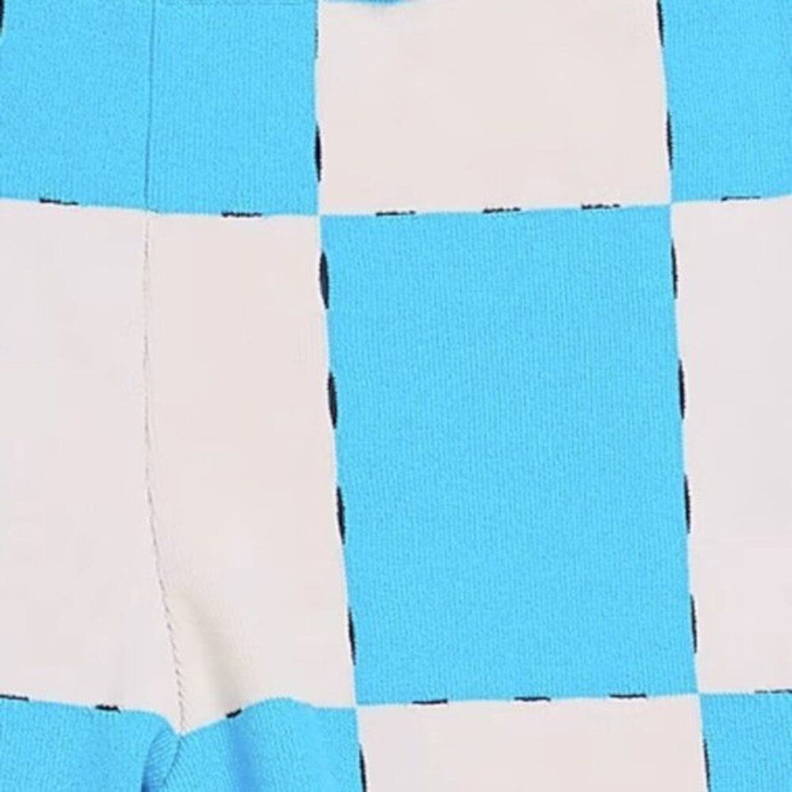 Jacquemus Jacquemus Le Shorts Gelato checked shorts azure size 8 Size 28" / US 6 / IT 42 - 2 Thumbnail