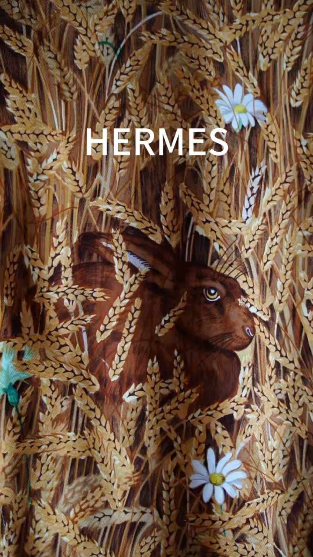 Hermes Hermes Women's Silk Shirt Dress Les Bles Rabbit Autumn 38 Size S / US 4 / IT 40 - 1 Thumbnail