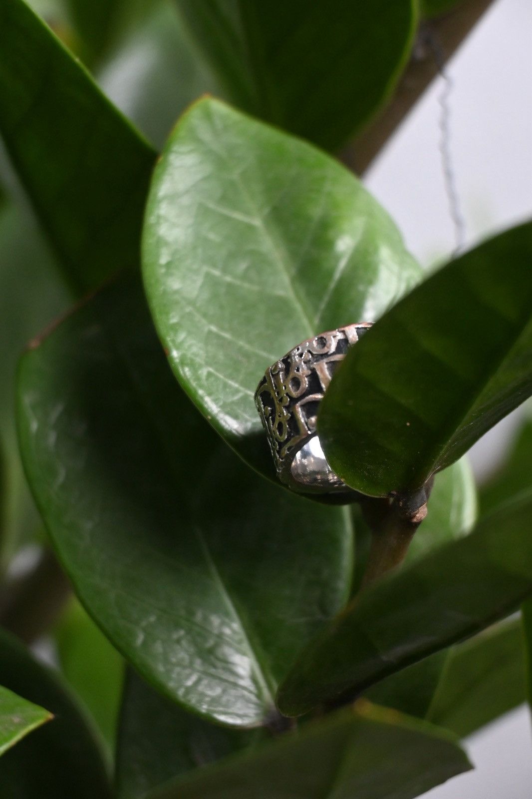 Dior Dior by John Galliano black trotter oblique D2 silver ring. Size ONE SIZE - 3 Thumbnail